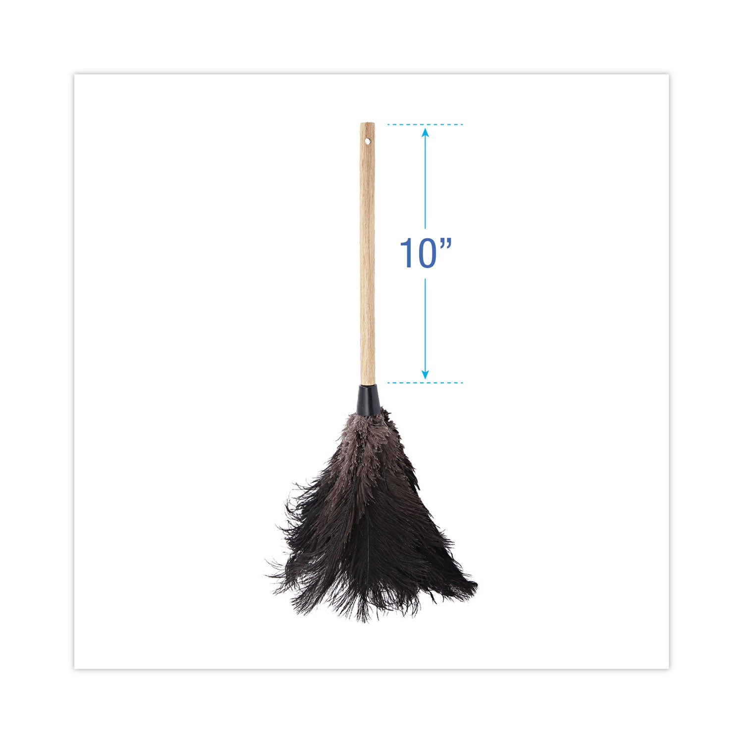 Boardwalk® Professional Ostrich Feather Duster, 10" Wood Handle