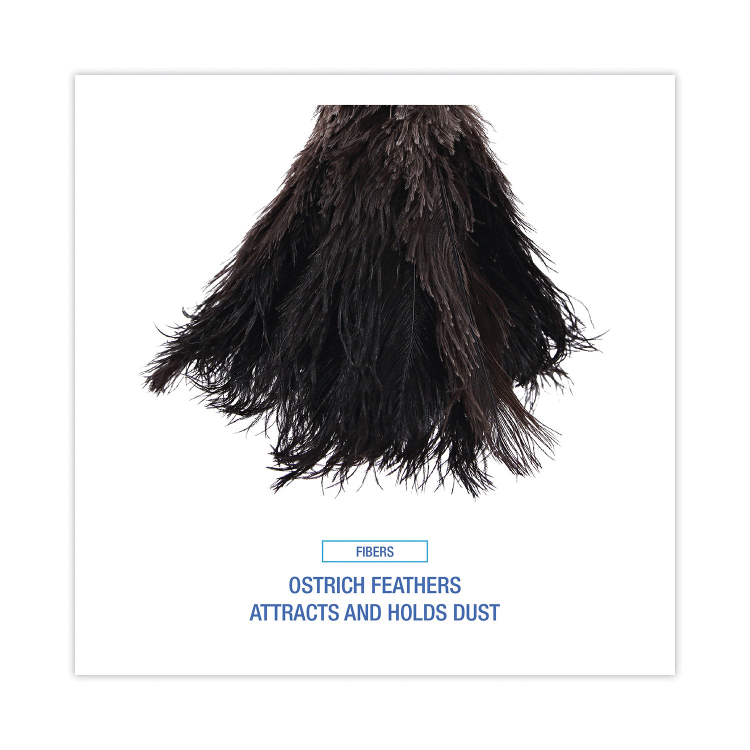 Boardwalk® Professional Ostrich Feather Duster, 10" Wood Handle
