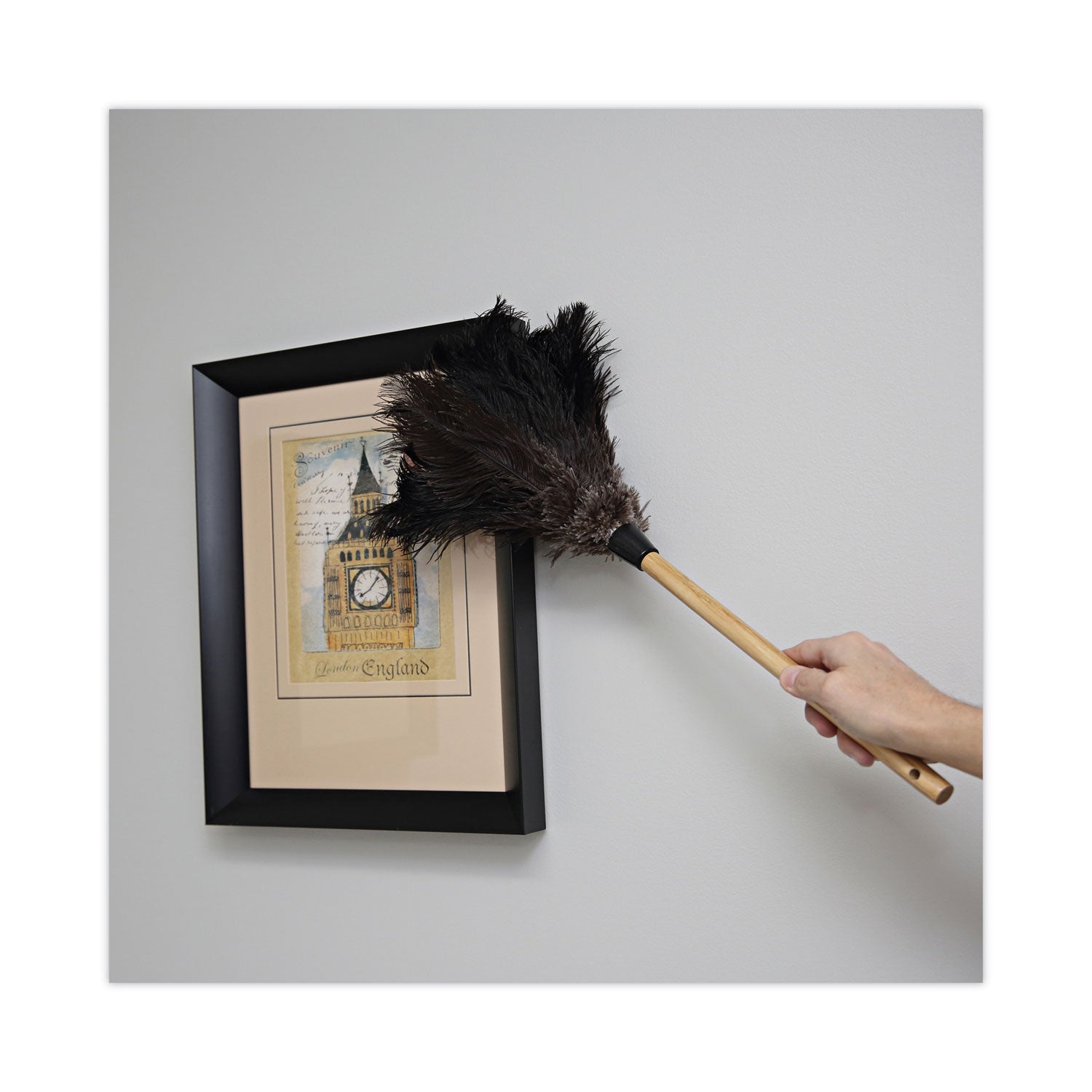 Boardwalk® Professional Ostrich Feather Duster, 10" Wood Handle