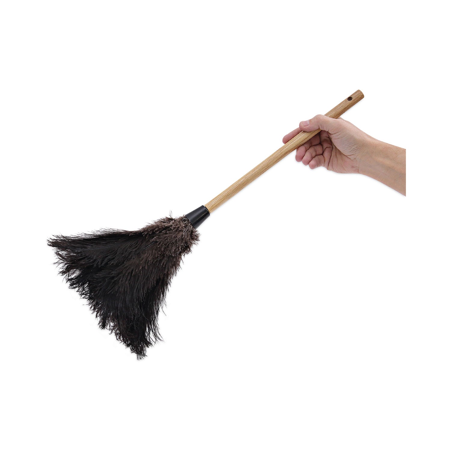 Boardwalk® Professional Ostrich Feather Duster, 10" Wood Handle