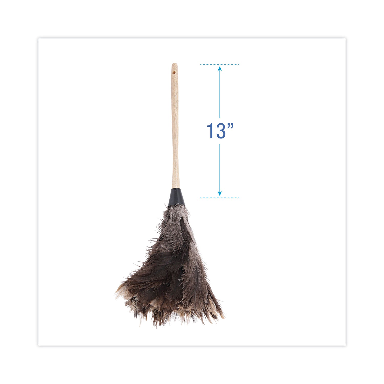 Boardwalk® Professional Ostrich Feather Duster, 13" Wood Handle