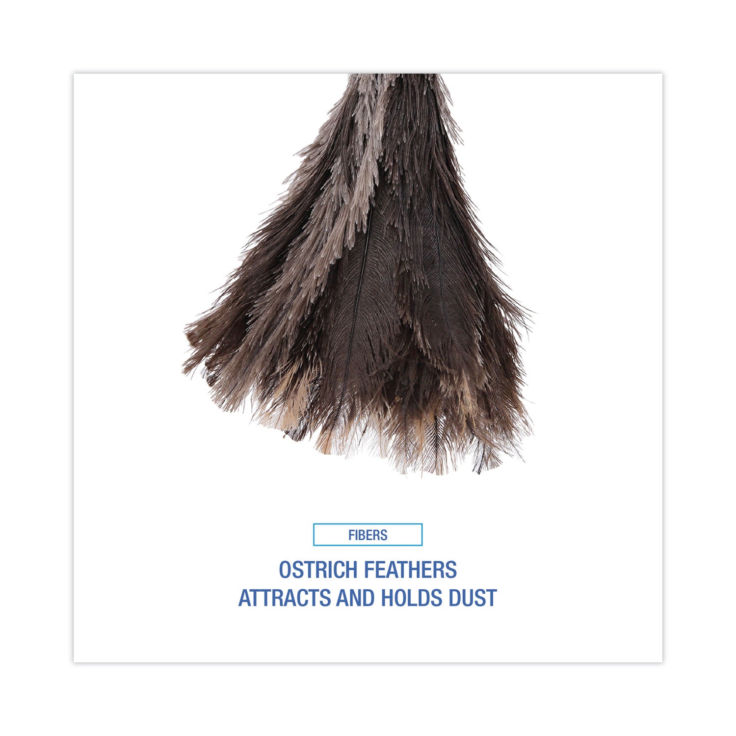 Boardwalk® Professional Ostrich Feather Duster, 13" Wood Handle