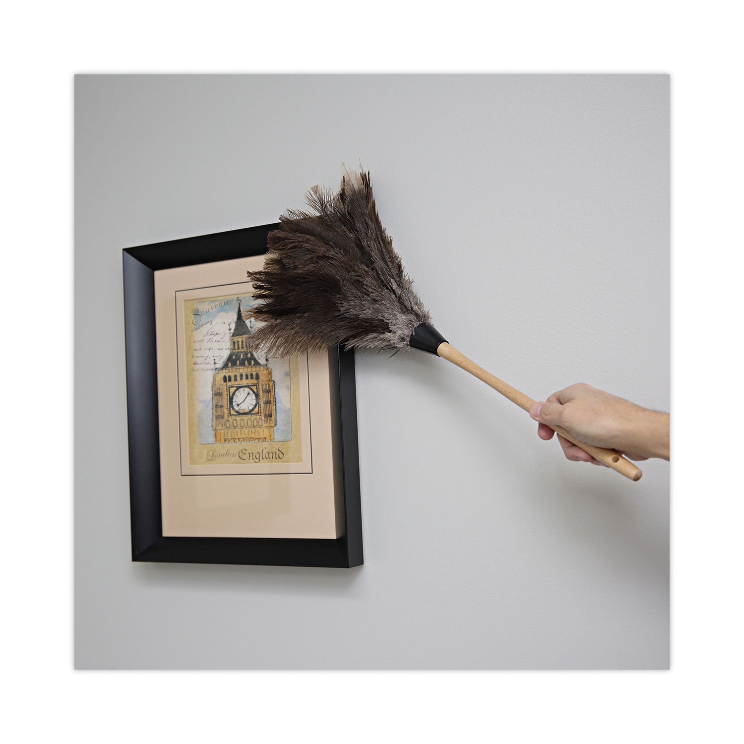 Boardwalk® Professional Ostrich Feather Duster, 13" Wood Handle