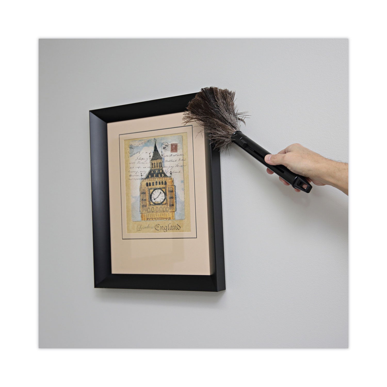 Boardwalk® Ostrich Feather Duster, 9" to 14" Retractable Plastic Handle