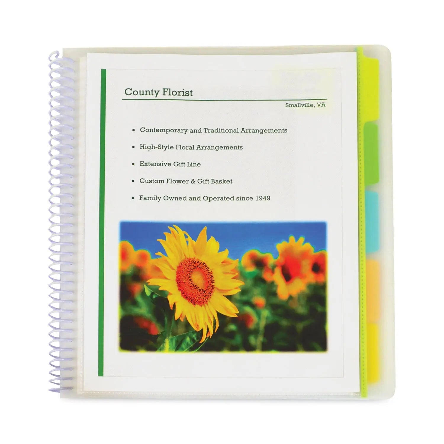 10-Pocket Poly Portfolio with Write-On Tabs, 8.5 x 11, Clear/Clear