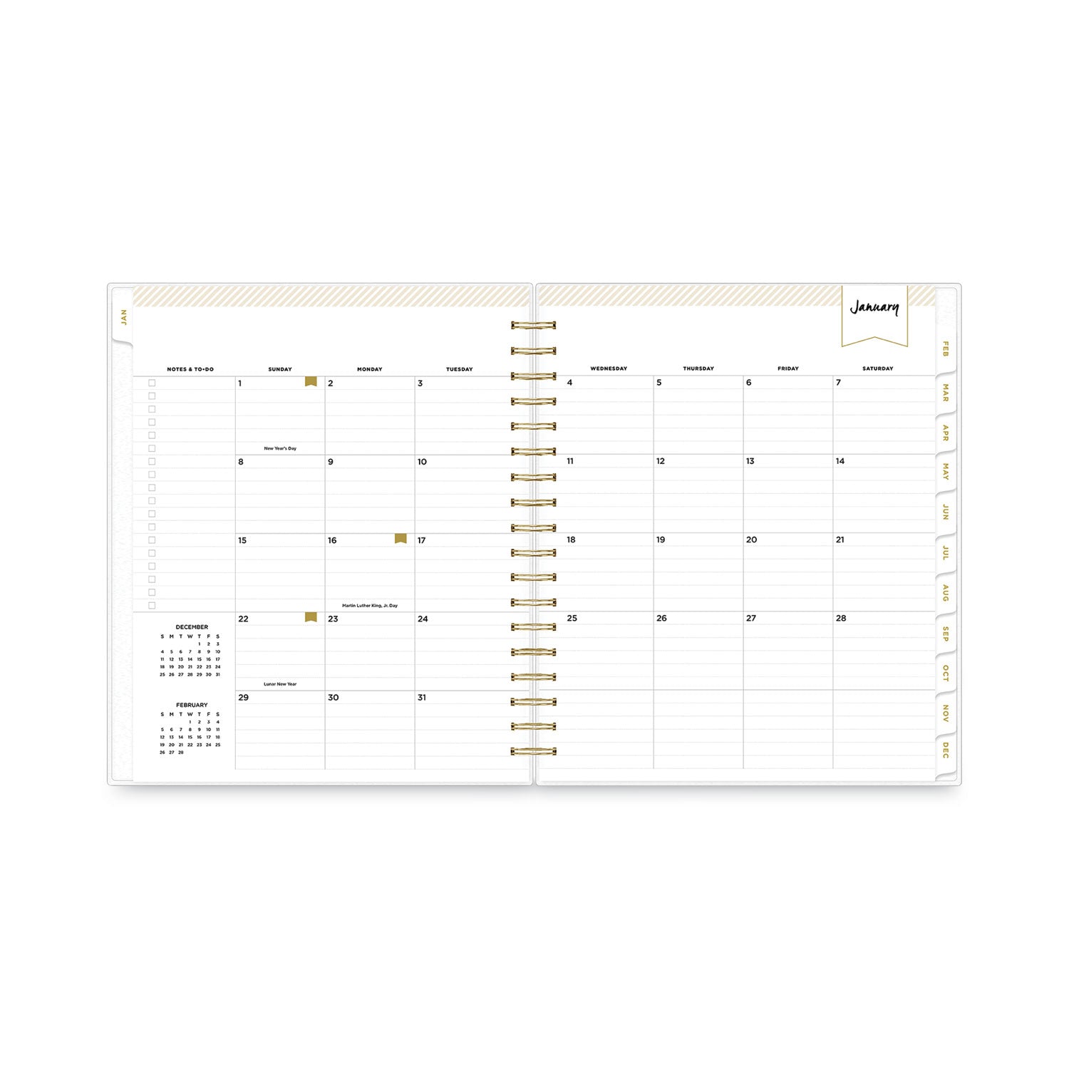 Blue Sky® Day Designer Daily/Monthly Frosted Planner, Rugby Stripe Artwork, 10 x 8, Black/White Cover, 12-Month (July-June): 2024-2025