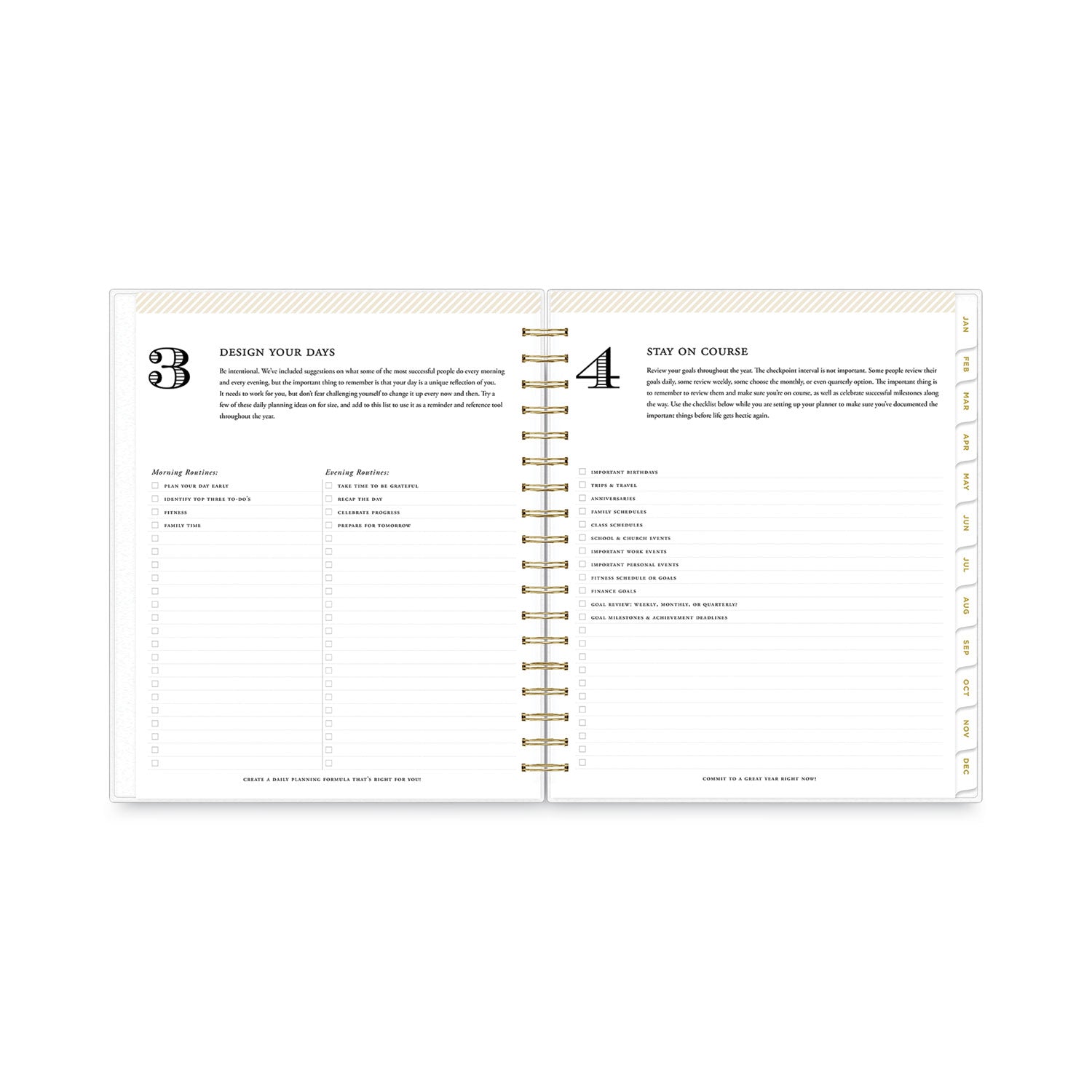 Blue Sky® Day Designer Daily/Monthly Frosted Planner, Rugby Stripe Artwork, 10 x 8, Black/White Cover, 12-Month (July-June): 2024-2025