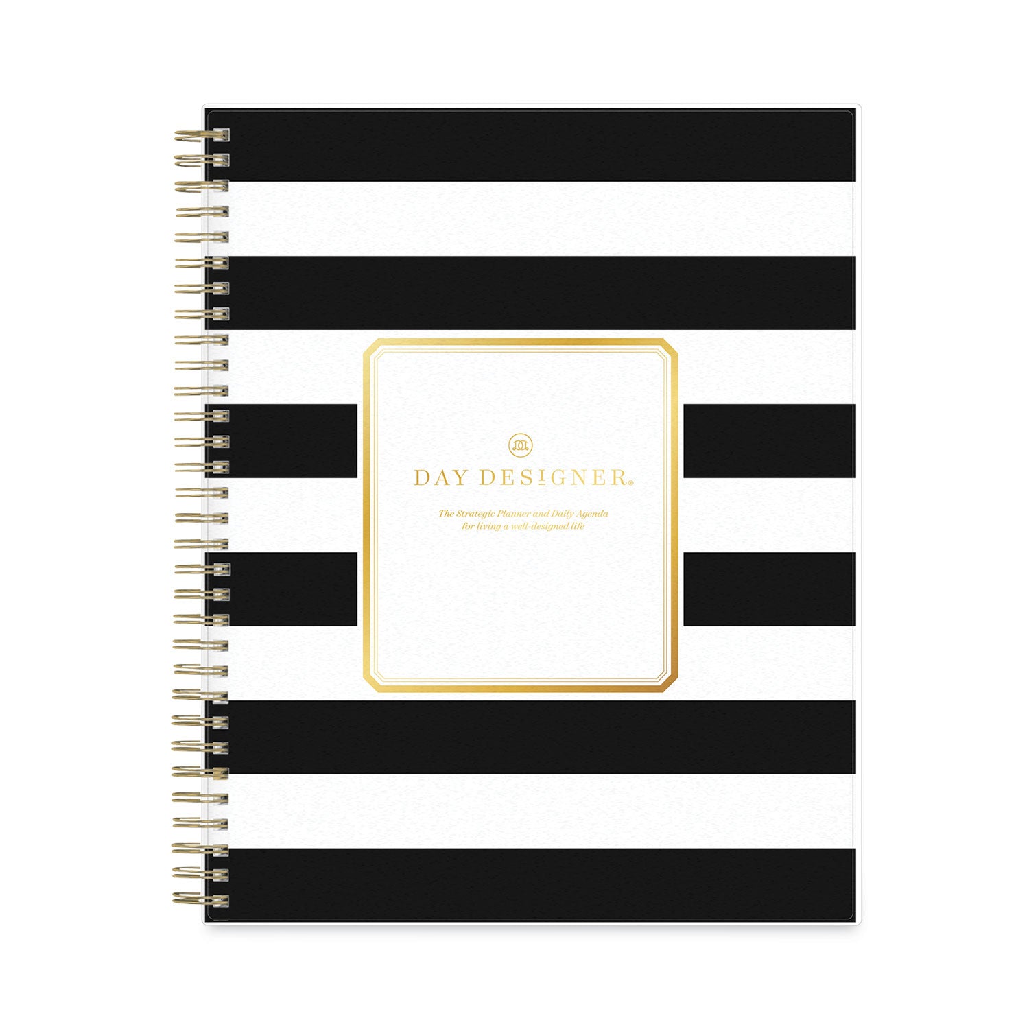 Blue Sky® Day Designer Daily/Monthly Frosted Planner, Rugby Stripe Artwork, 10 x 8, Black/White Cover, 12-Month (July-June): 2024-2025