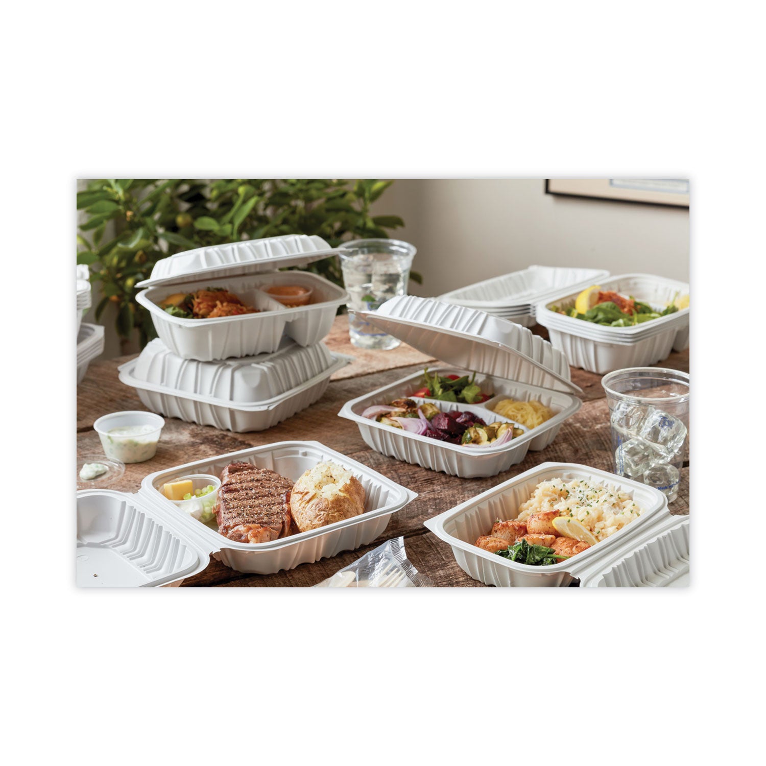 Pactiv Evergreen EarthChoice Vented Microwavable MFPP Hinged Lid Container, 2 Compartments, 9 x 6 x 3.1, White, Plastic, 170/Carton
