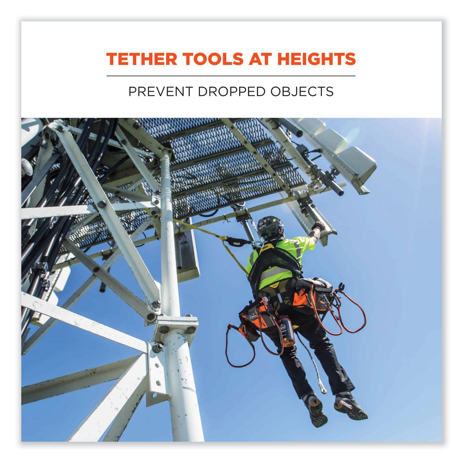 ergodyne® Squids 3100 Lanyard with Aluminum Carabiner + Cinch-Loop, 10 lb Max Working Capacity, 35" to 45" Long, Lime