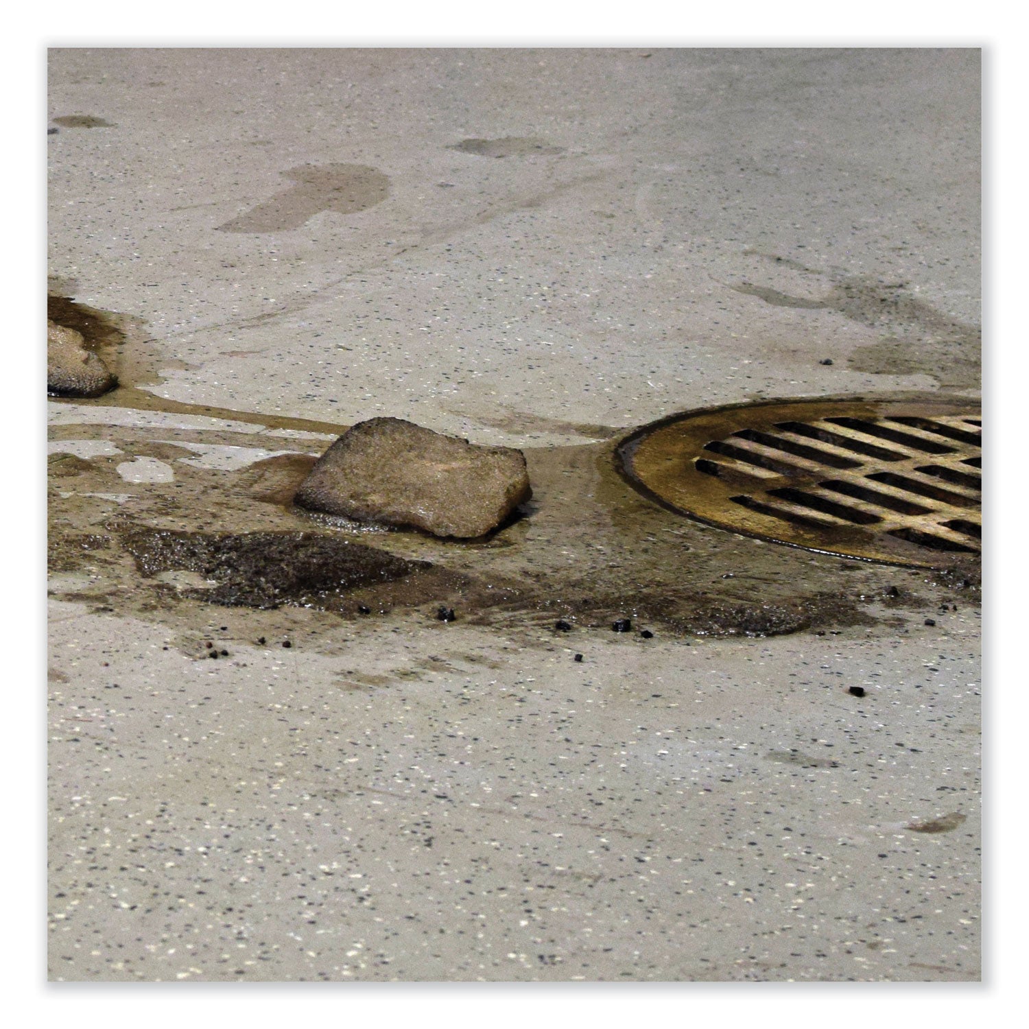 Betco® BioActive Solutions No-Rinse Floor Cleaner, Rain Fresh Scent, 1 gal Bottle, 4/Carton