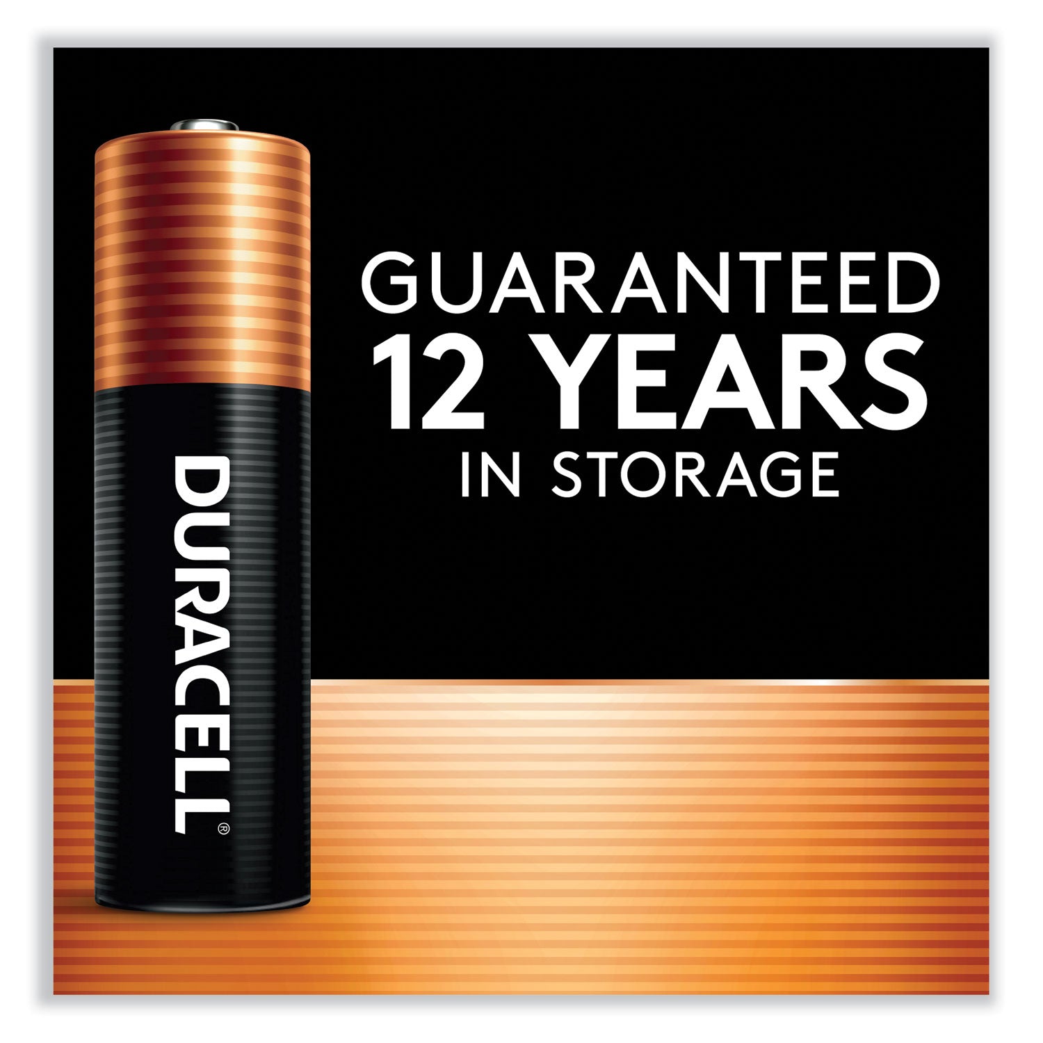 Duracell® Power Boost CopperTop Alkaline AA Batteries, 10/Pack