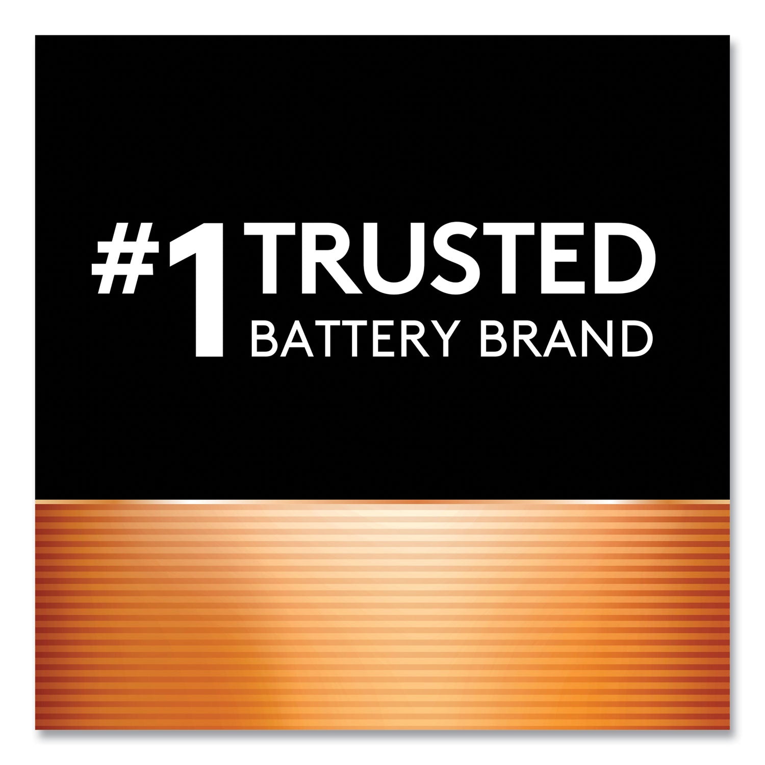 Duracell® Power Boost CopperTop Alkaline AAA Batteries, 16/Pack
