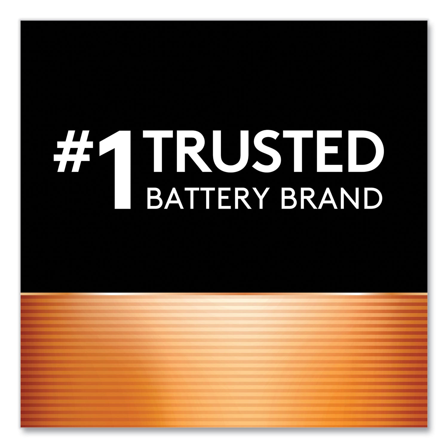 Duracell® Power Boost CopperTop Alkaline AA Batteries, 10/Pack
