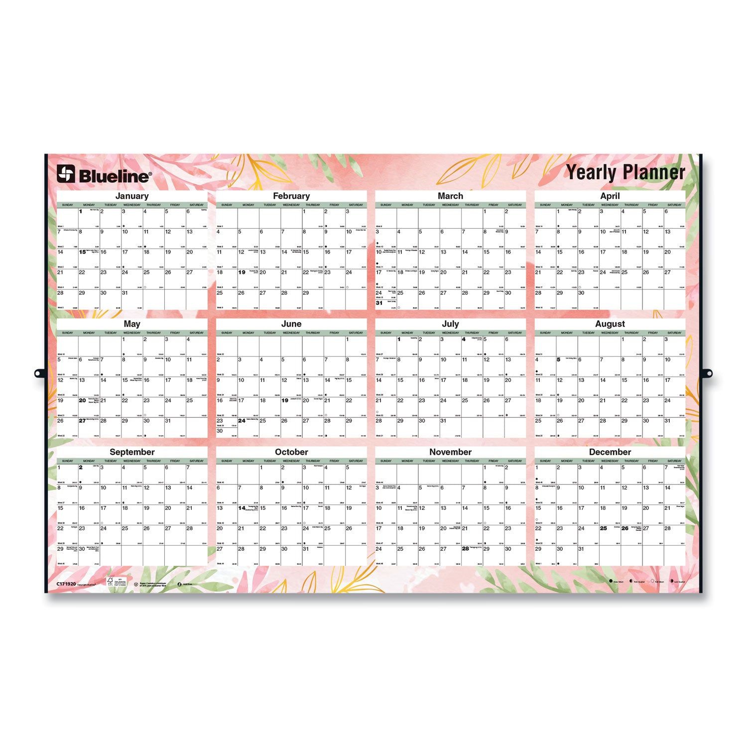 Blueline® Yearly Laminated Wall Calendar, Tropical Watercolor Artwork, 36 x 24, White/Sand/Orange Sheets, 12-Month (Jan-Dec): 2025