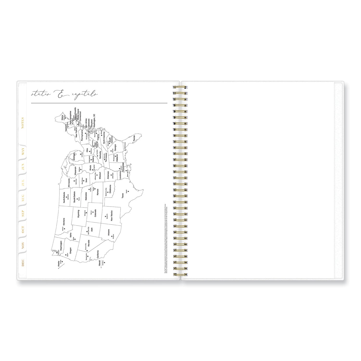 Blue Sky® Life Note-It Leah Weekly/Monthly Notes Planner, Floral Artwork, 11 x 8.5, Gray/Pink/White Cover, 12-Month (Jan to Dec): 2025