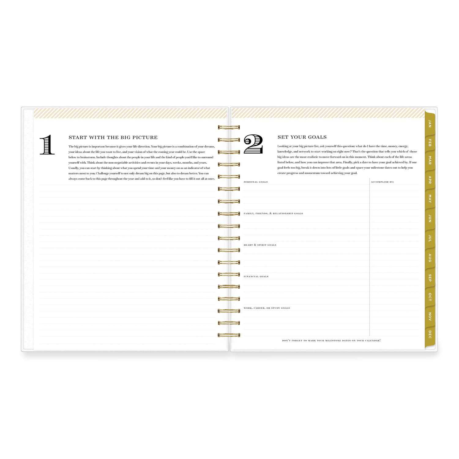 Blue Sky® Day Designer Navy Stripe Daily/Monthly Planner, Horizontal Stripe Artwork, 10 x 8, Navy/White Cover, 12-Month (Jan-Dec): 2025