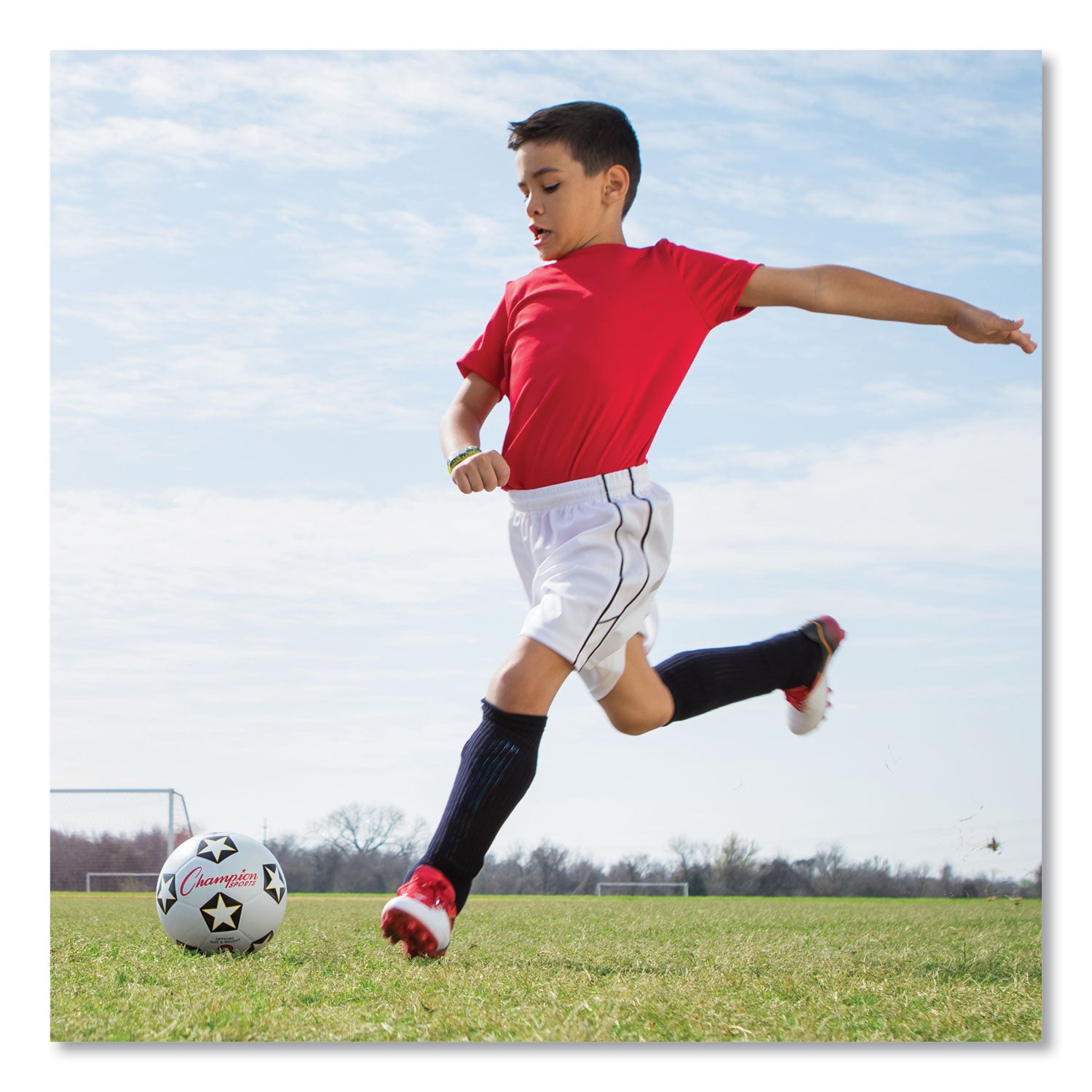 Champion Sports Rubber Sports Ball, For Soccer, No. 3 Size, White/Black