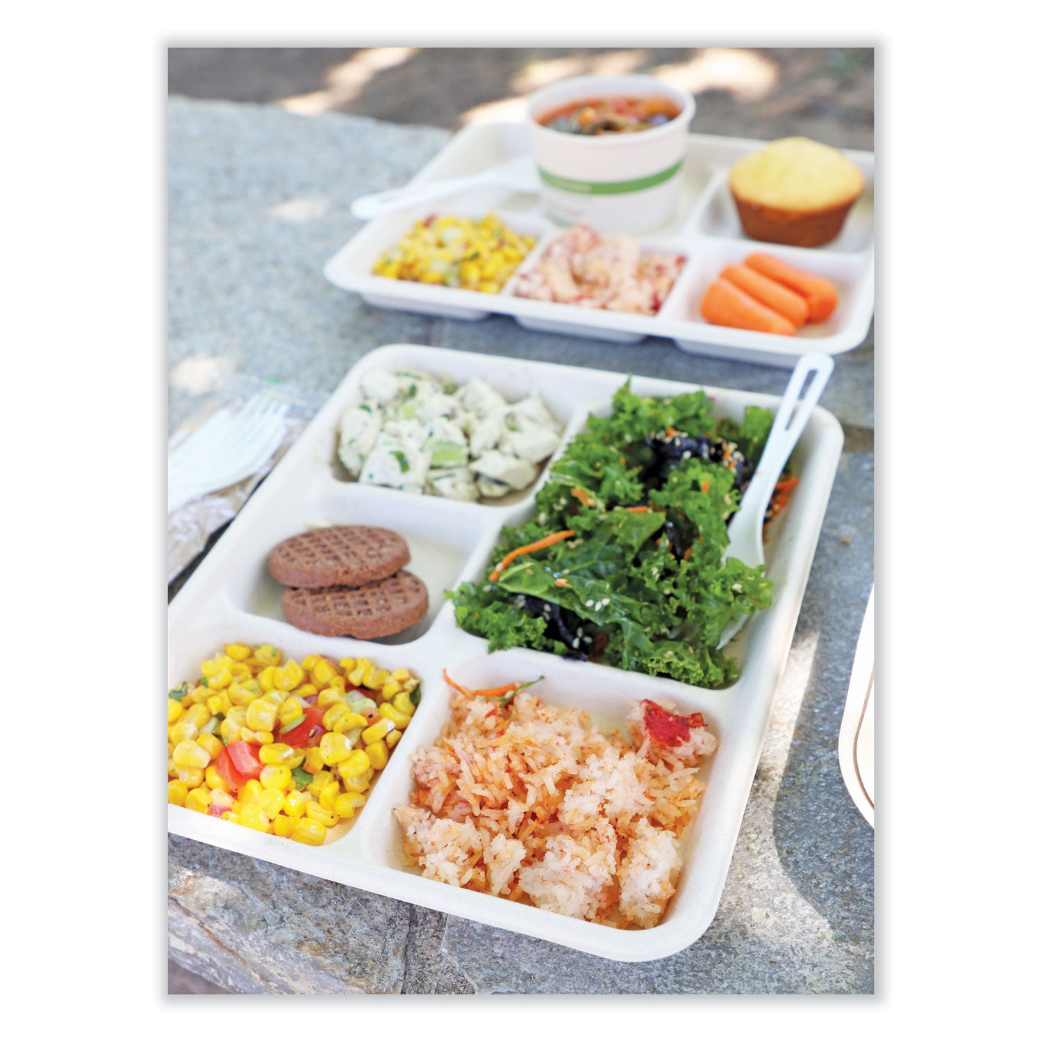 World Centric® Fiber Trays, 5 Compartments, 8.5 x 10.24 x 1.01, Natural, Paper, 400/Carton