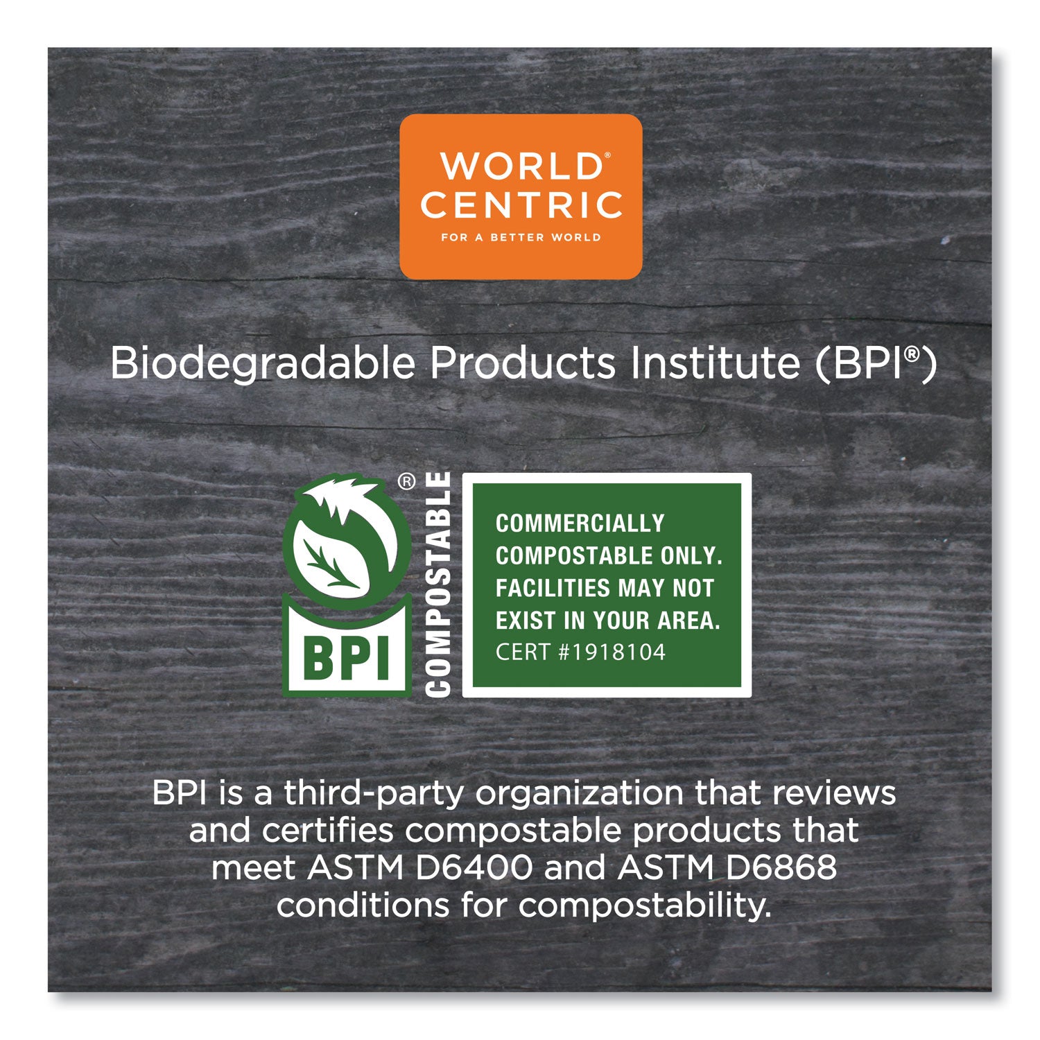 World Centric® TPLA Compostable Cutlery, Spork, Plastic, White, 1,000/Carton