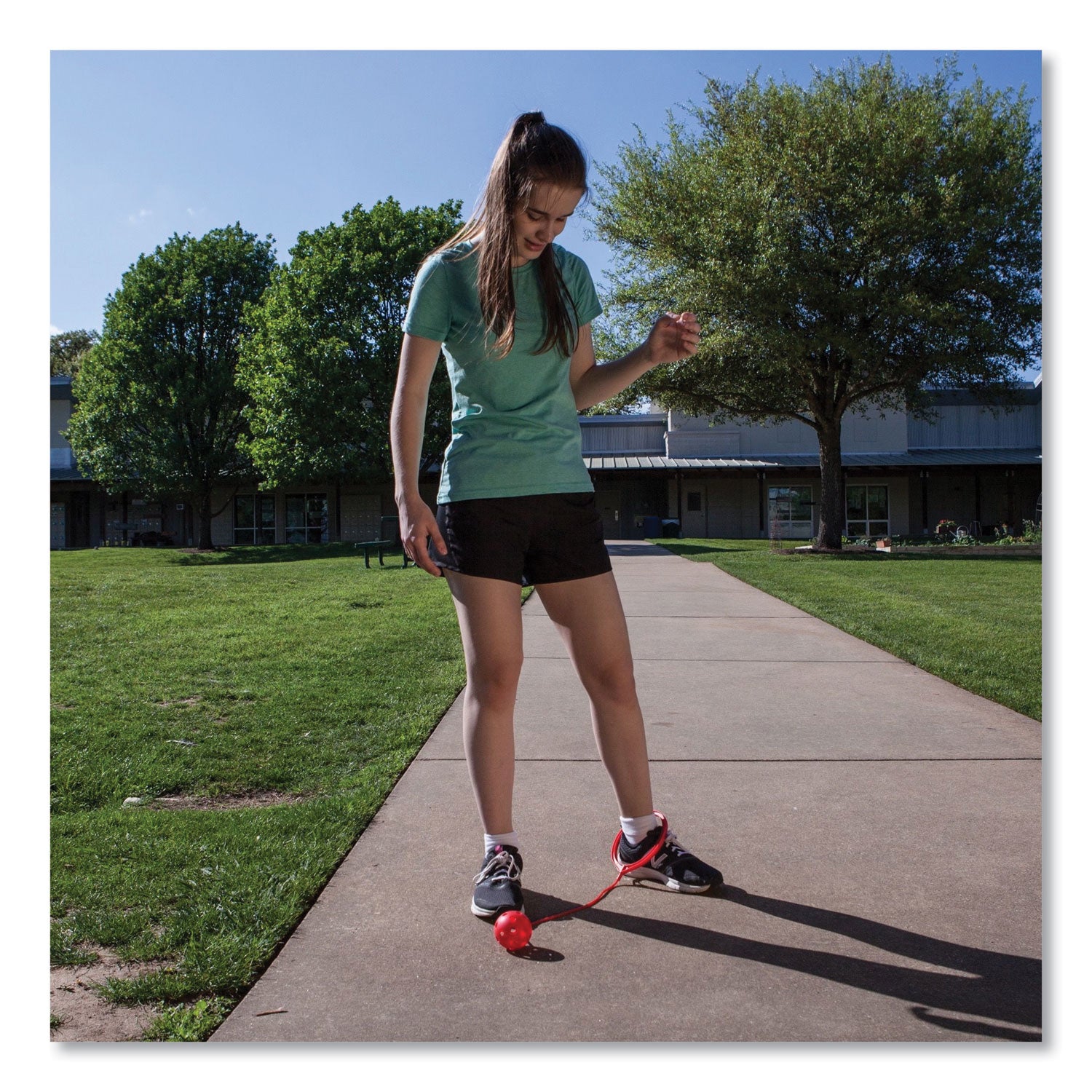 Champion Sports Swing Ball Set, 5.5" Diameter, Assorted Colors, 6/set