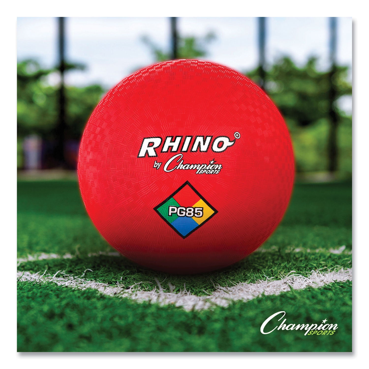 Champion Sports Physical Education Kit With 7 Balls, 14 Jump Ropes, Assorted Colors