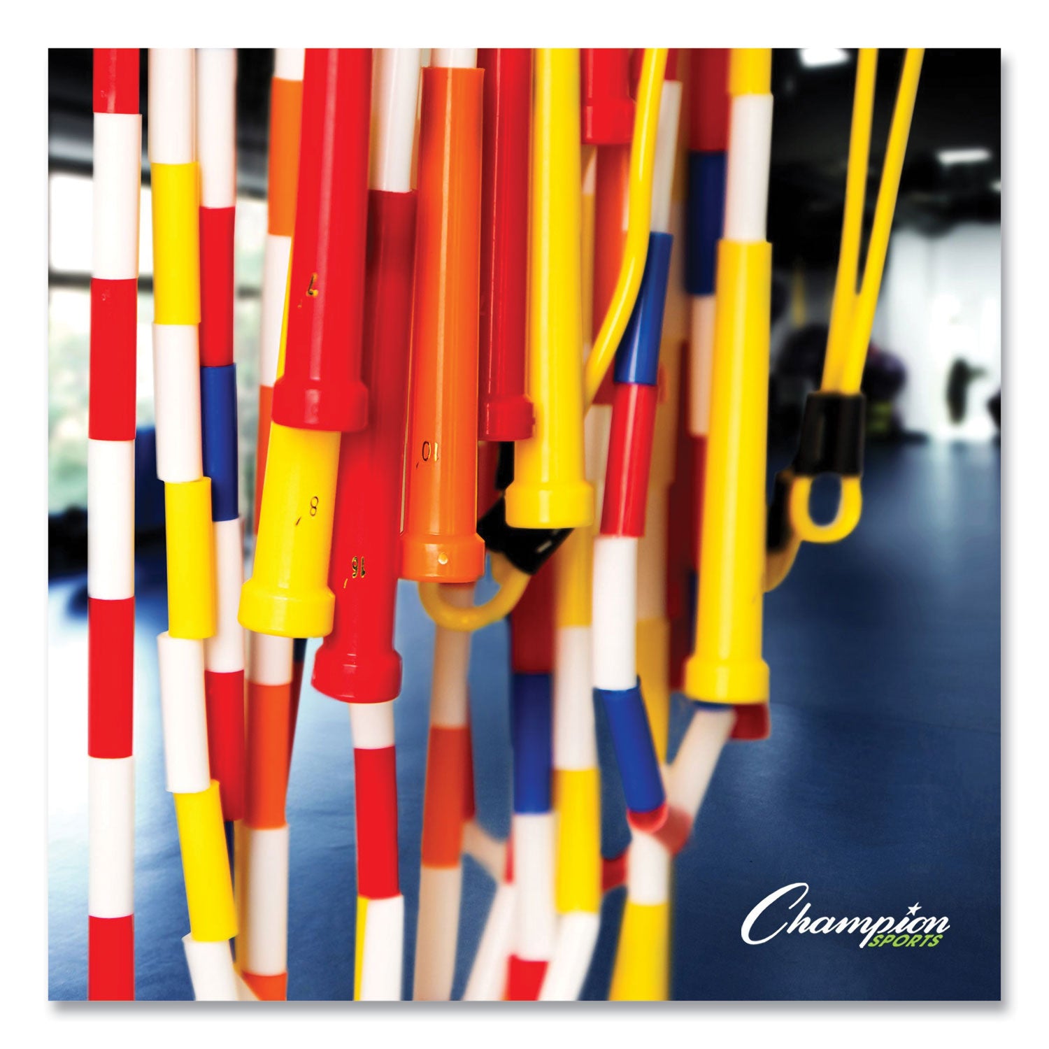 Champion Sports Physical Education Kit With 7 Balls, 14 Jump Ropes, Assorted Colors