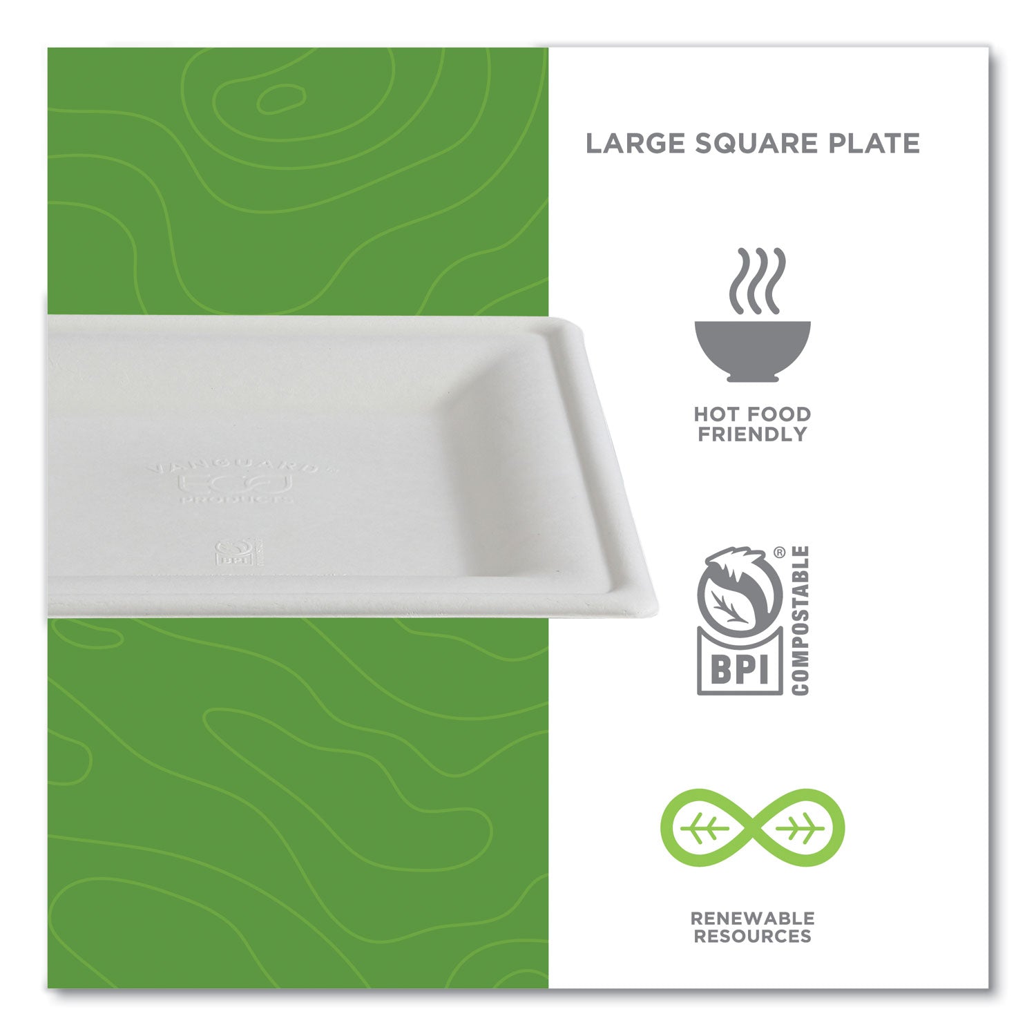 Eco-Products® Vanguard Renewable and Compostable Sugarcane Plates, 10 x 10, White, 250/Carton