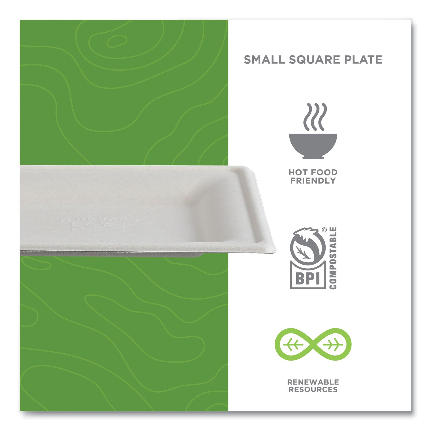 Eco-Products® Vanguard Renewable and Compostable Sugarcane Plates, 6 x 6, White, 500/Carton
