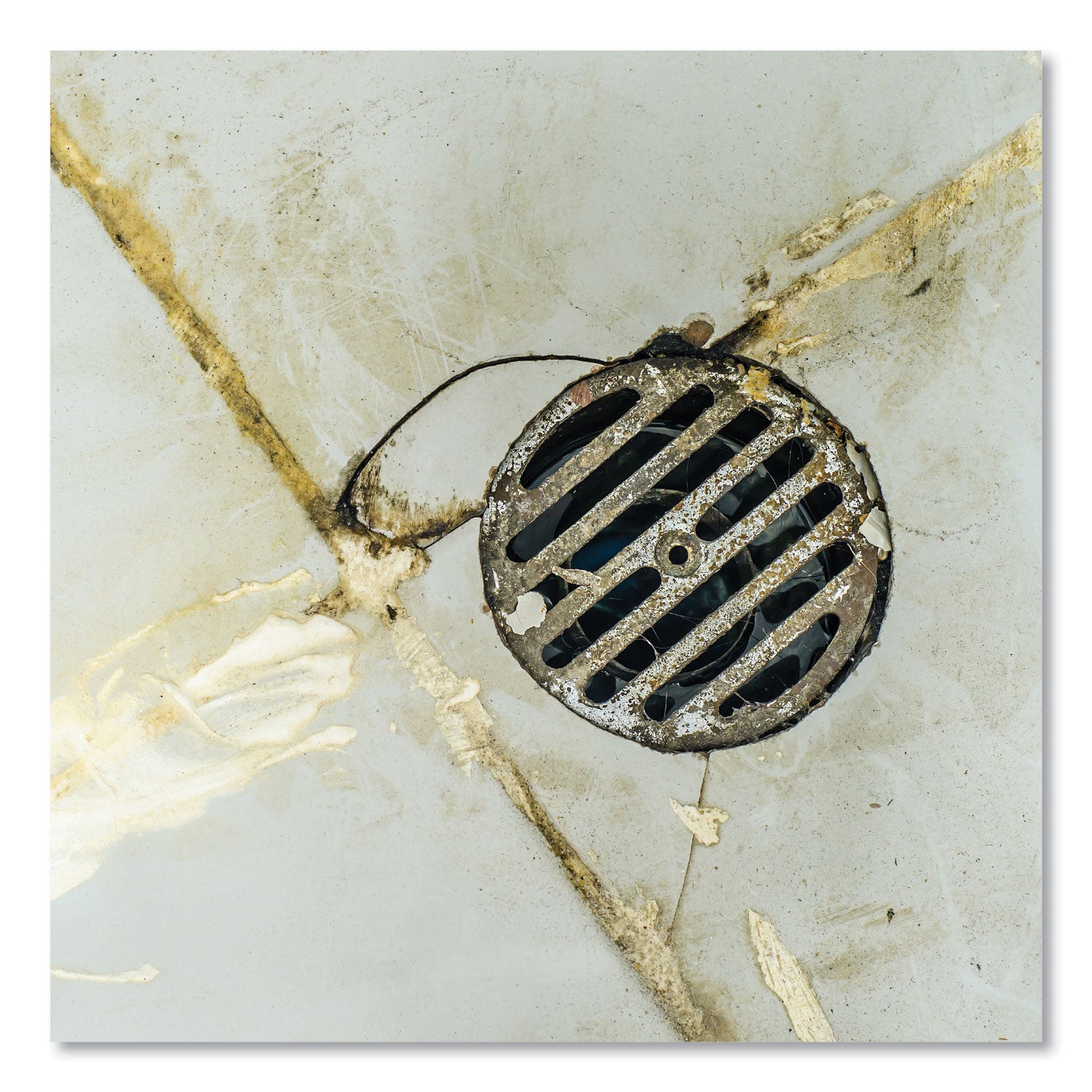 Betco® Green Earth Push Enzyme Multipurpose Cleaner, Mint Scent, 1 gal Bottle, 4/Carton