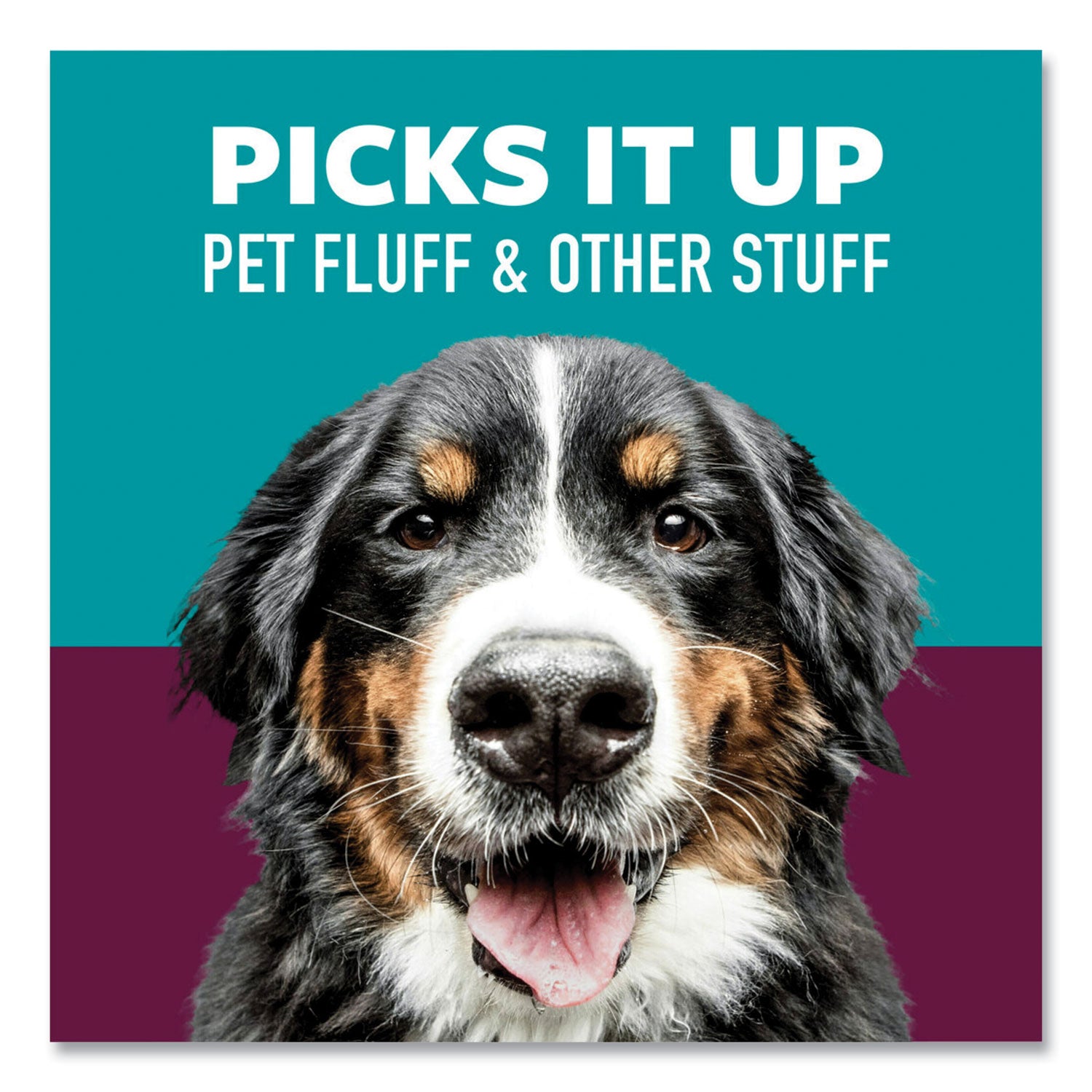 Scotch-Brite™ Pet Hair Pickup Lint Roller, 70 Sheets/Roll