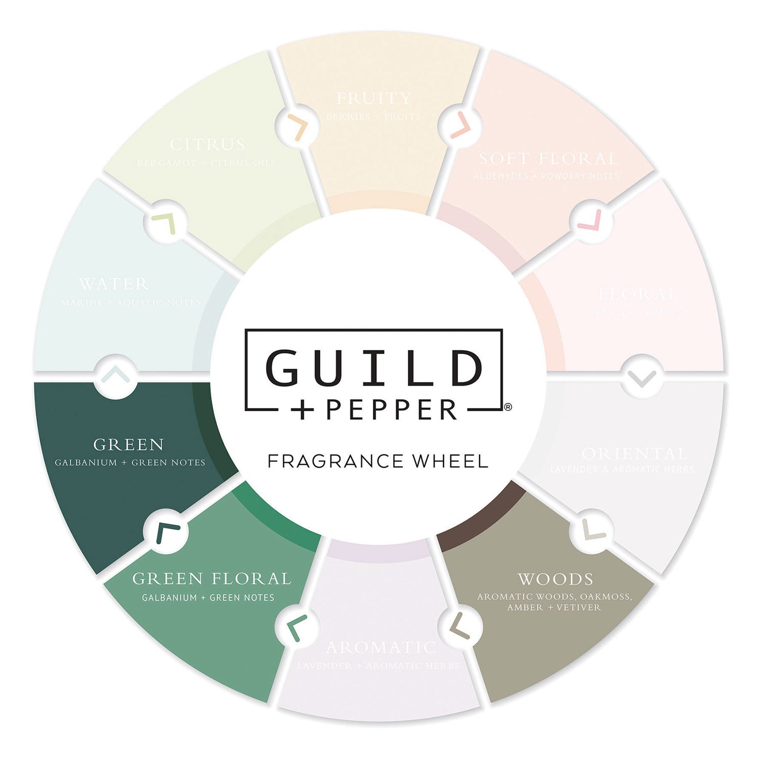 Guild+Pepper® Shower Gel, Warm Oak Scent, 12.2 oz, 12/Carton