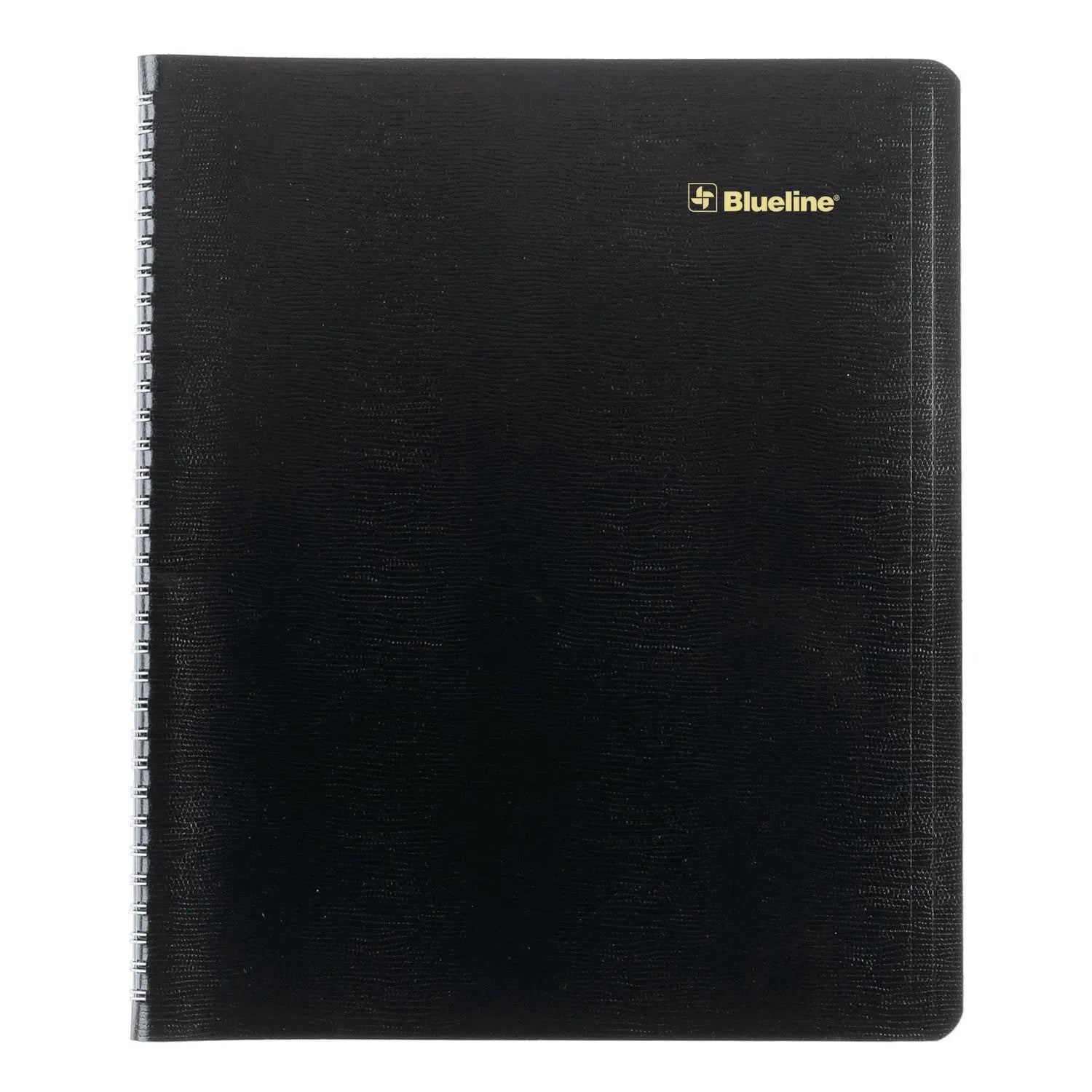 Plan and Link Monthly Planner, 11" x 9.06", Black Cover, 16-Months: Sept 2024 to Dec 2025