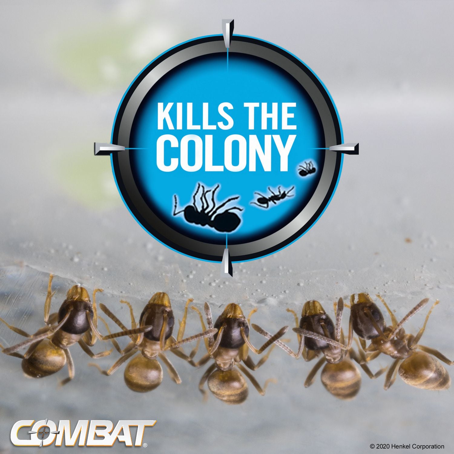 Combat® Max 2-in-1 Ant Bait, 4/Pack, 8 Packs/Carton