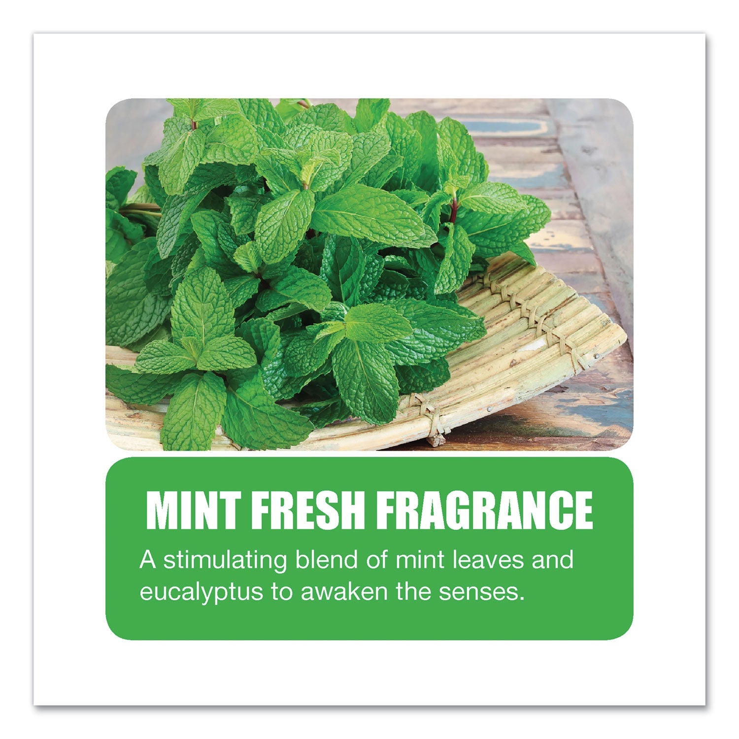 Big D Industries Enzym D Digester Deodorant, Mint, 1 Gal, Bottle, 4/carton