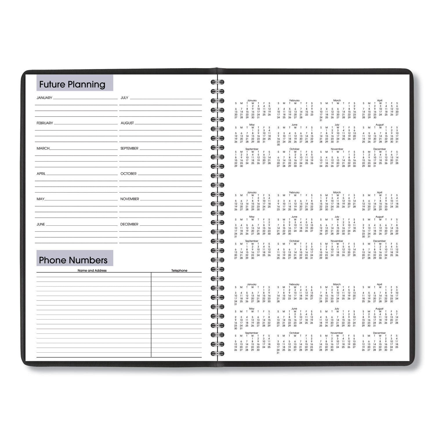 AT-A-GLANCE® DayMinder Monthly Planner, Ruled Blocks, 12 x 8, Black Cover, 14-Month: Dec 2024 to Jan 2026