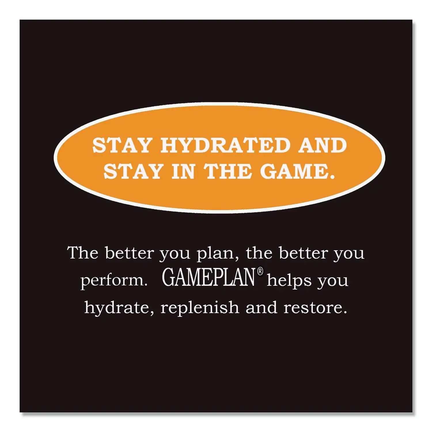 Niagara® Bottling Gameplan Sports Drink, Orange, 20 oz Bottle, 24/Carton Niagara® Bottling Flipcost