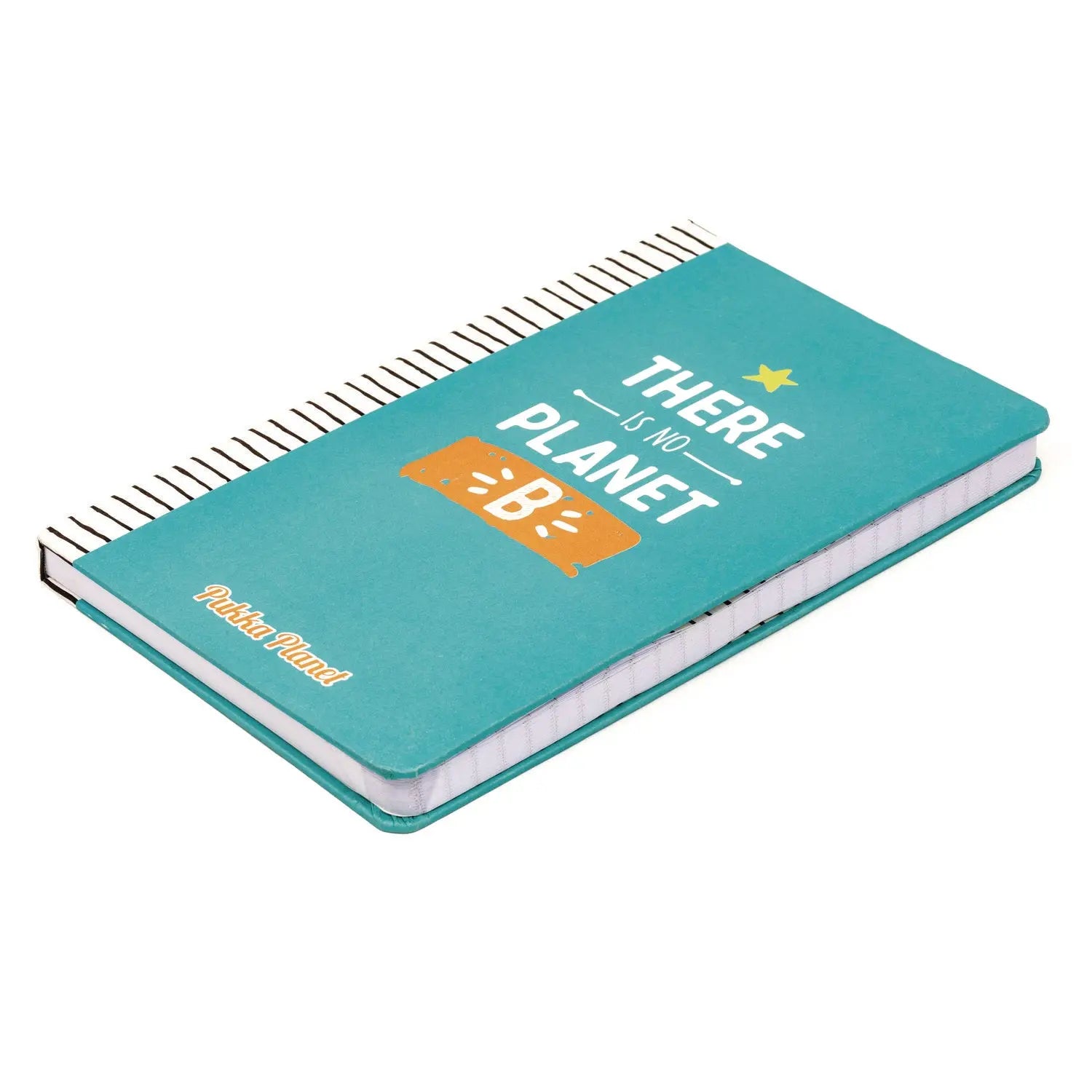 Soft Cover Eco Notebook, 1-Subject, Medium/College Rule, Turquoise/Multicolor Cover, (96) 8.3 x 5.8 Sheets PUKKA PAD® Flipcost