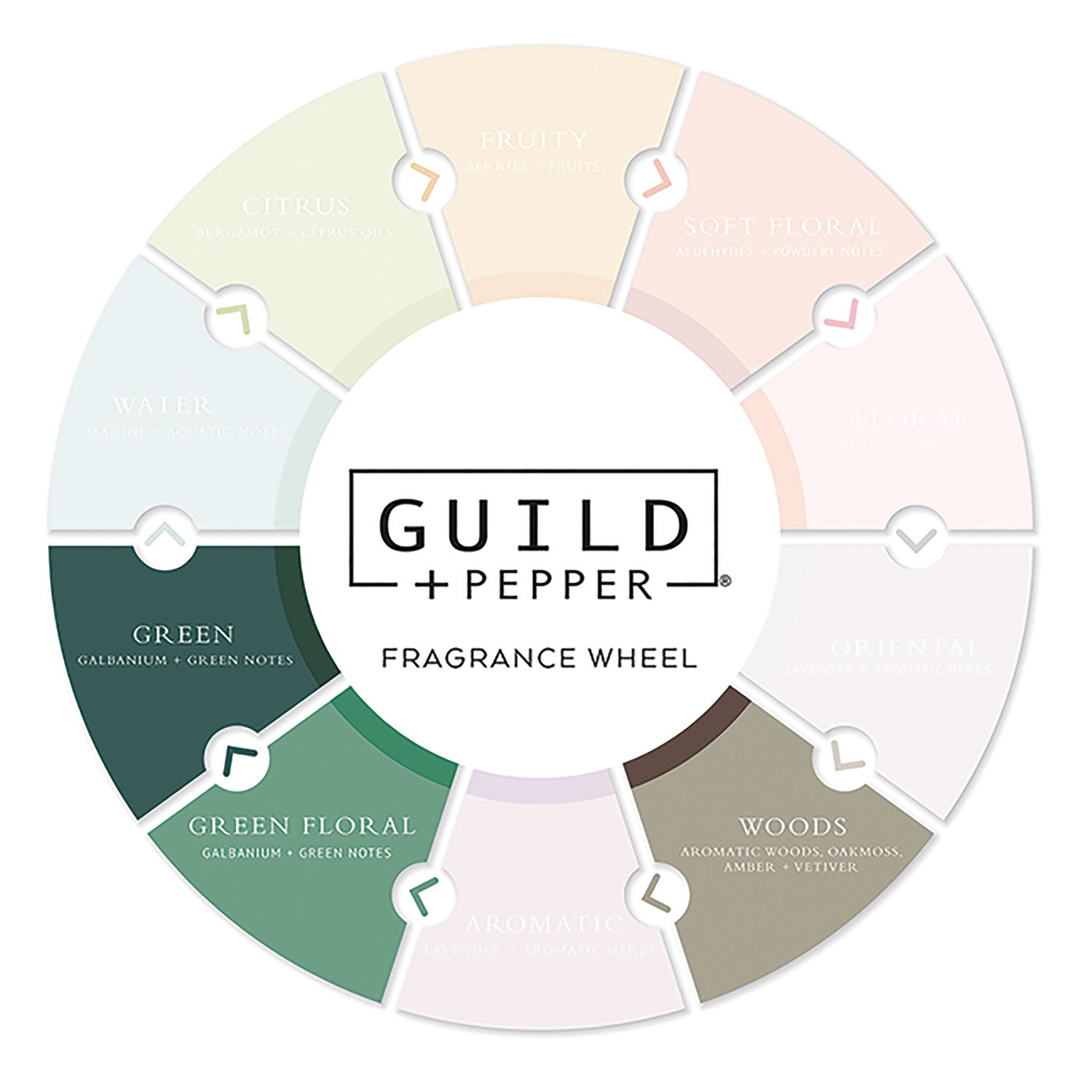 Guild+Pepper® Conditioner, Warm Oak Scent, 12.2 oz, 12/Carton