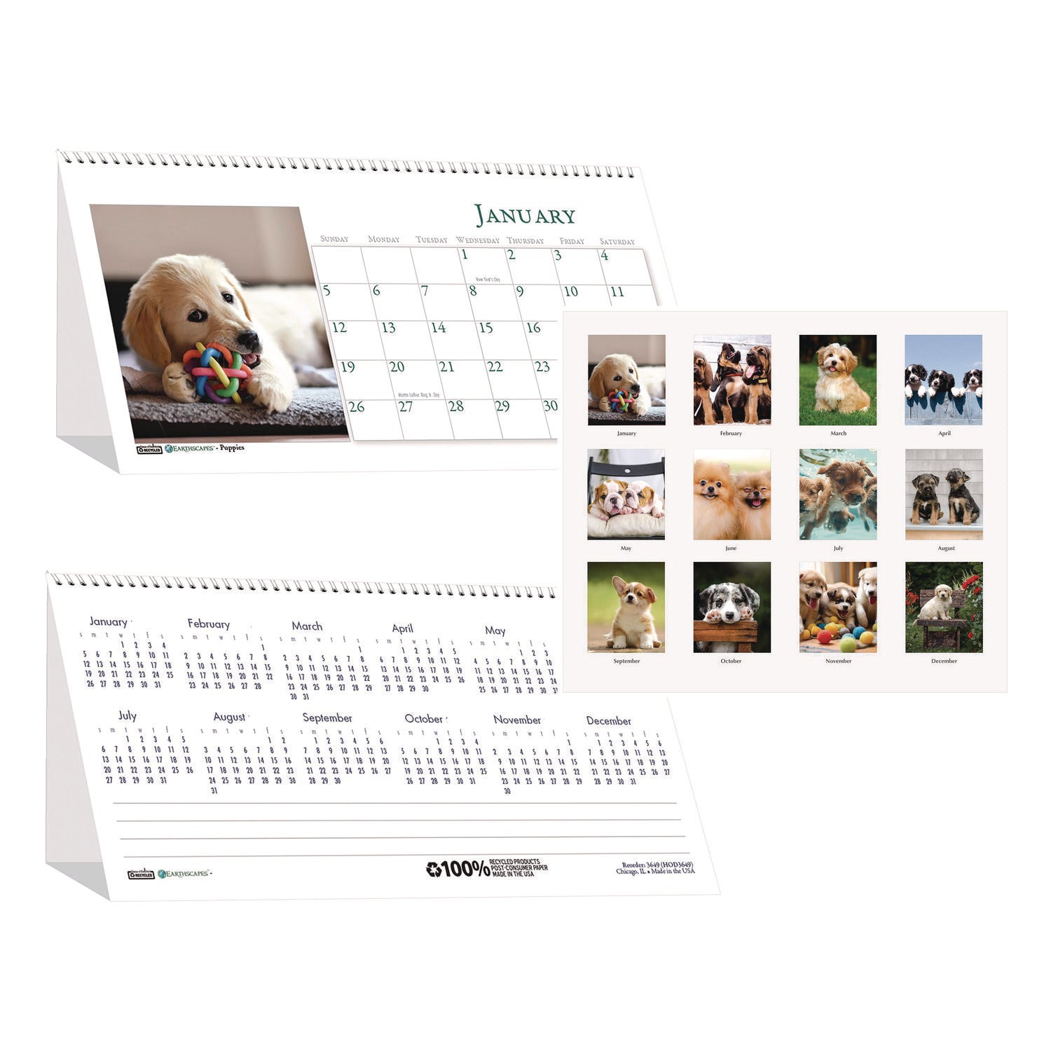 Earthscapes Recycled Desk Tent Monthly Calendar, Puppies Photography, 8.5 x 4.5, White Sheets, 12-Month (Jan to Dec): 2025