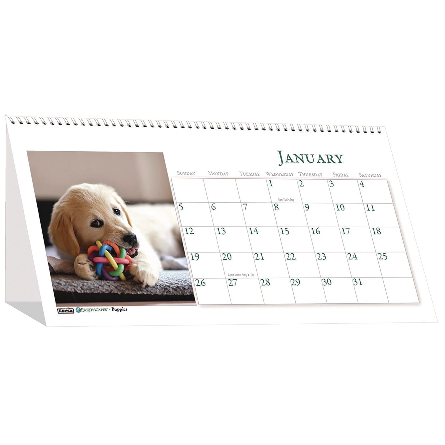 House of Doolittle™ Earthscapes Recycled Desk Tent Monthly Calendar, Puppies Photography, 8.5 x 4.5, White Sheets, 12-Month (Jan to Dec): 2025