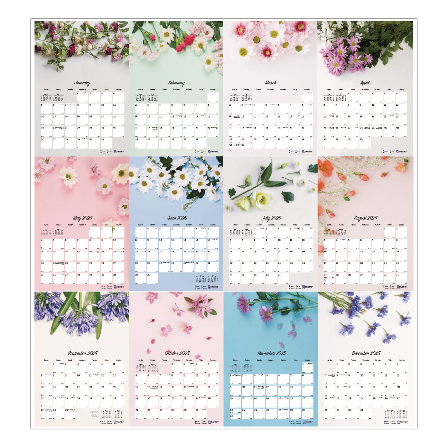 Blueline® Romantic Wall Calendar, Floral Photography, 12 x 17, White/Multicolor Sheets, 12-Month (Jan to Dec): 2025