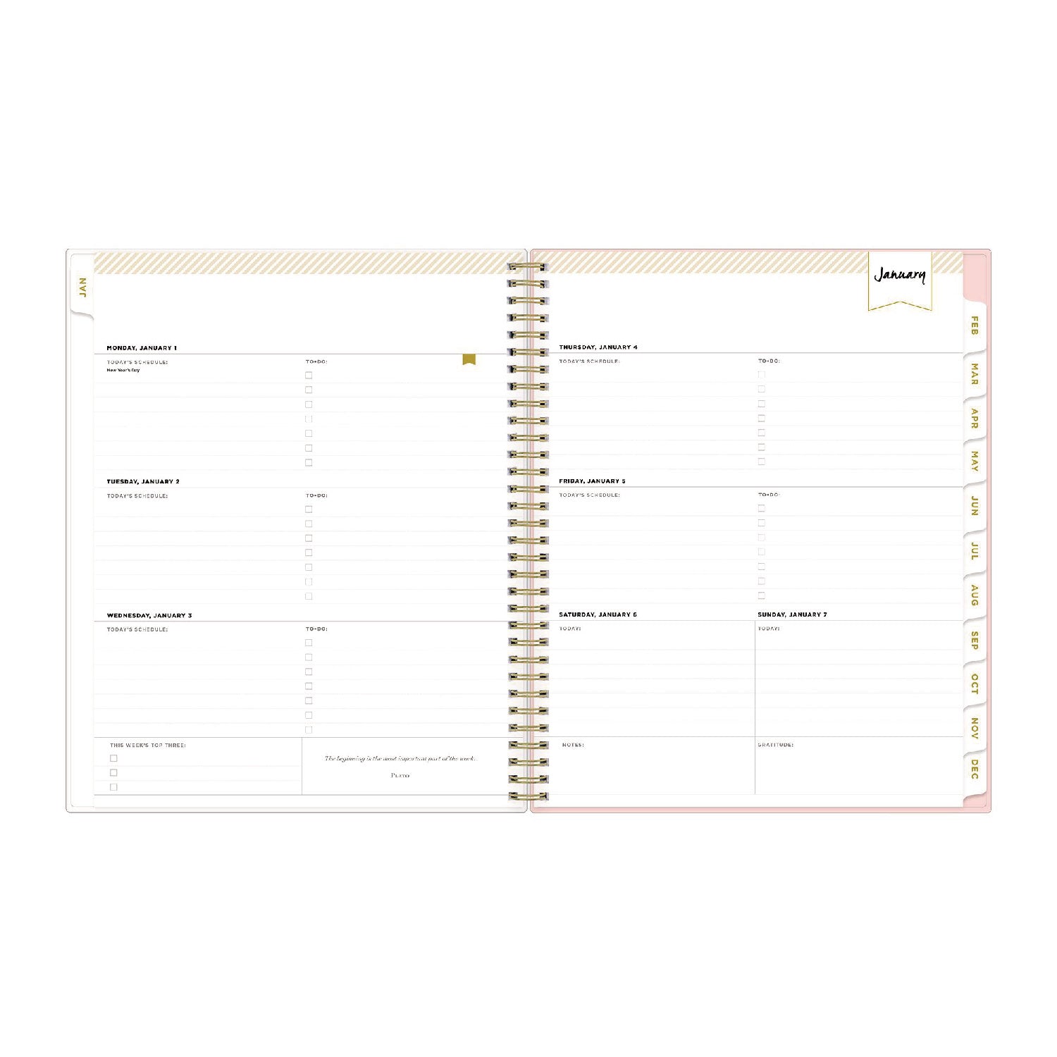 Blue Sky® Day Designer Coming Up Roses Create-Your-Own Cover Weekly/Monthly Planner, Roses Artwork, 11 x 8.5, 12-Month (Jan-Dec): 2025