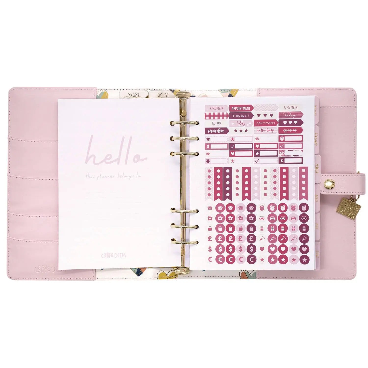 A5 Planner, 10.24 x 9.25, Pink Cover, 12-Month PUKKA PAD® Flipcost