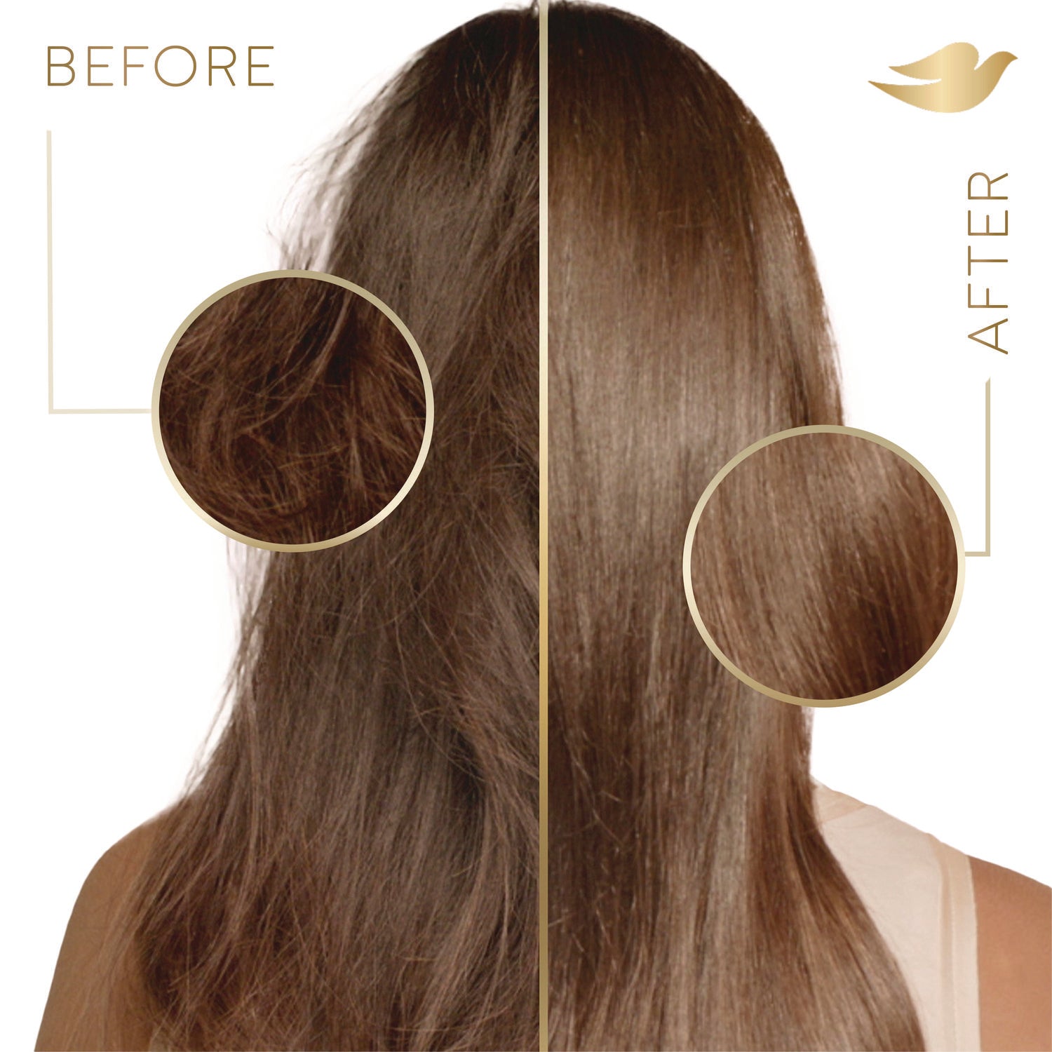 Dove® Coconut Conditioner, 12 oz Bottle, 6/Carton