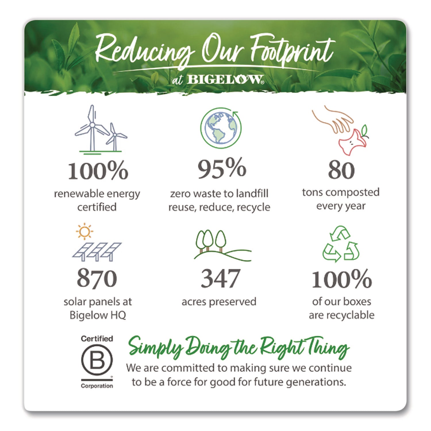 Bigelow® Benefits Wellness Tea Bags, Assorted Flavors, 64/Box