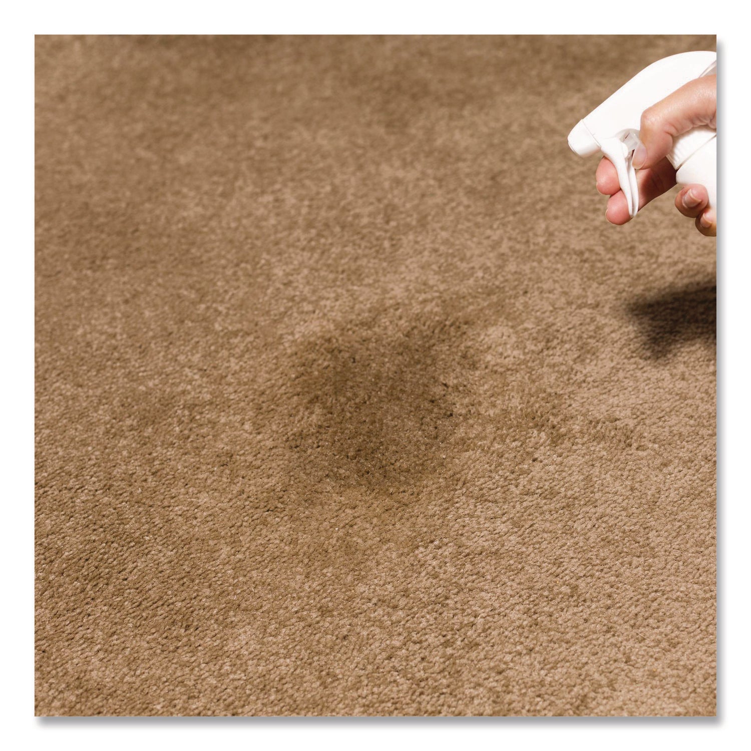 Rust-Oleum® Carpet Stain Remover Plus Deodorizer, Lemon Scent, 32 oz Spray Bottle, 6/Carton