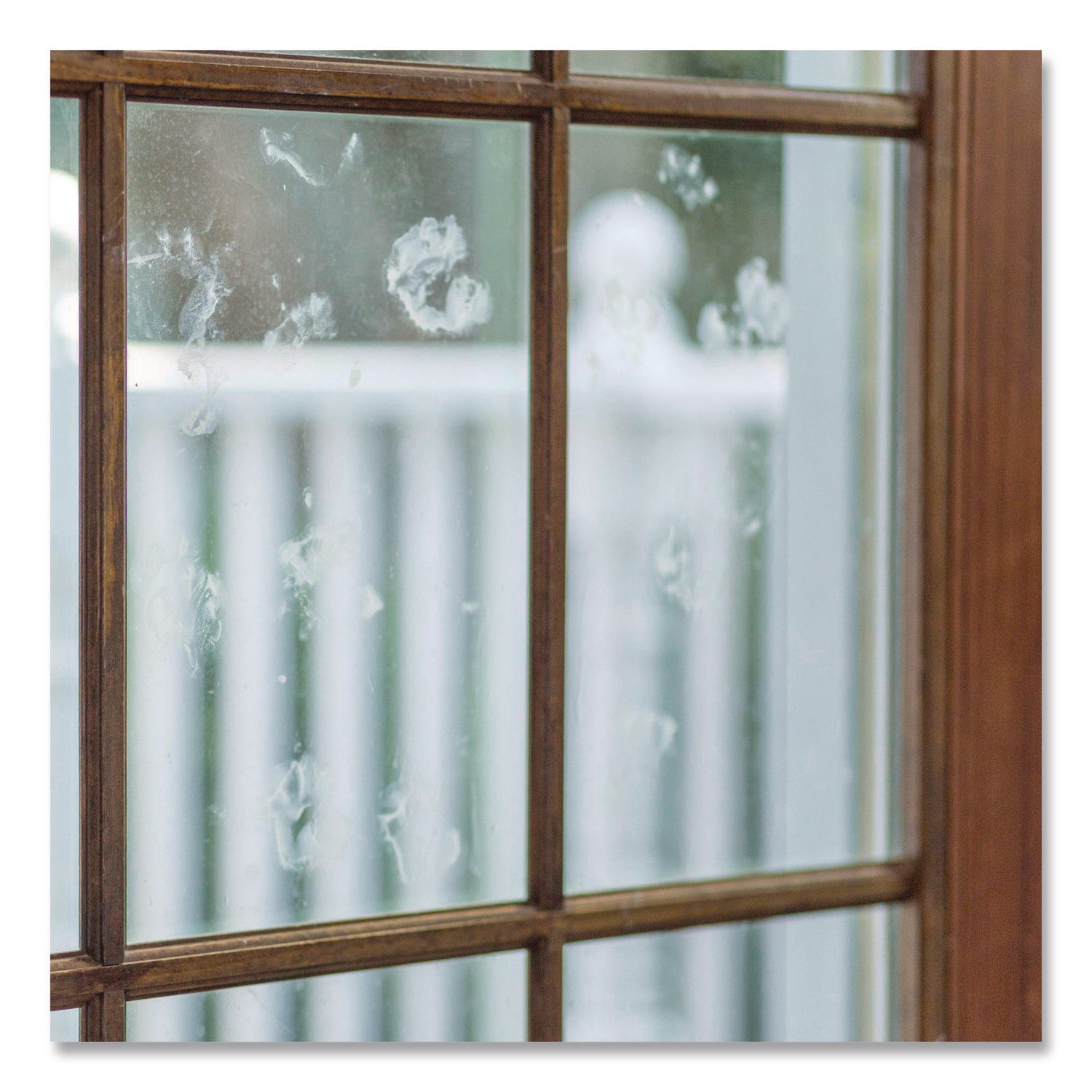 Rust-Oleum® Professional Cleaners Glass Cleaner, 32 oz Spray Bottle, 6/Carton