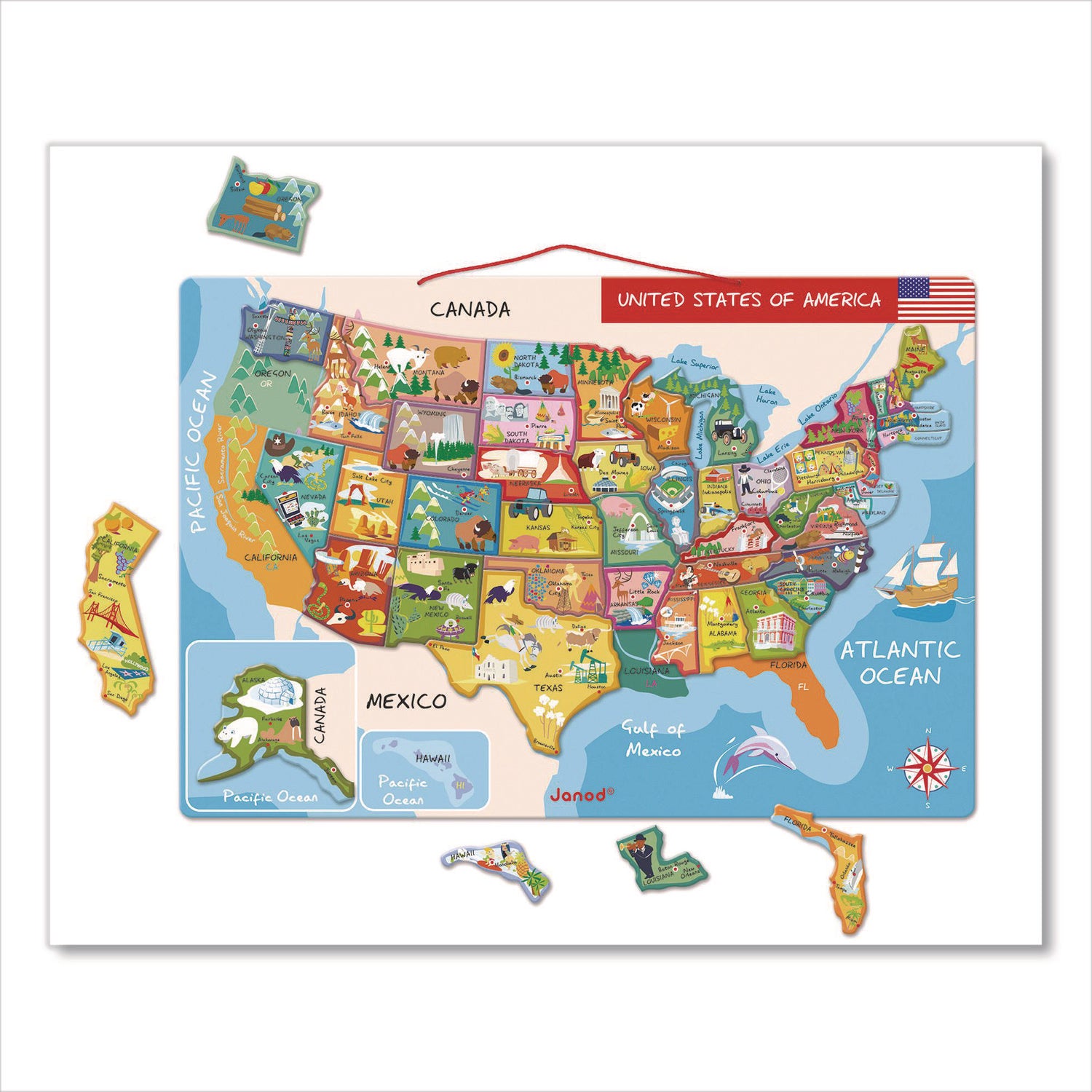 Janod® Cardboard Puzzle, United States Map Puzzle, 48 Pieces, Ages 7 to 12