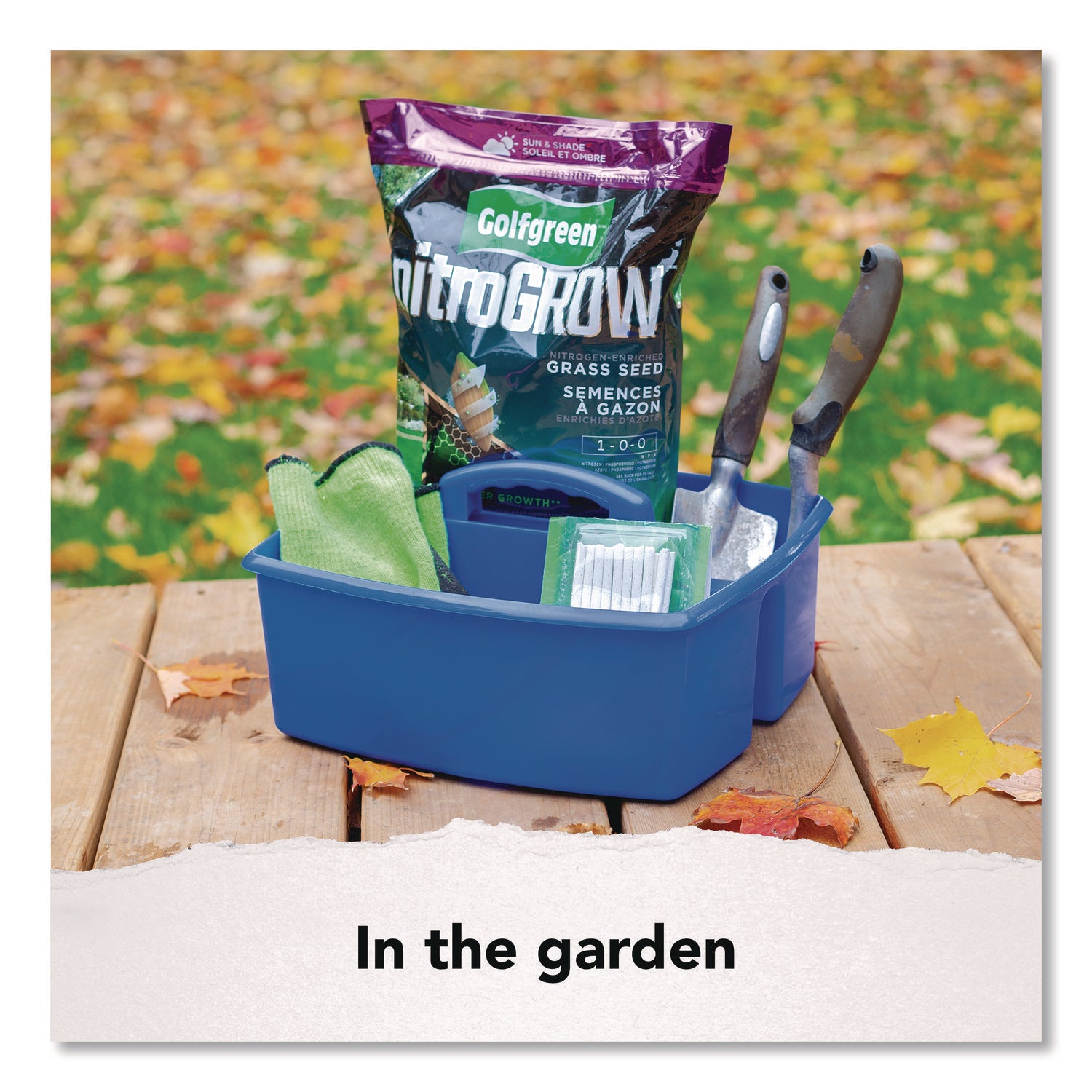 Storex Large Storage Caddy, 11 x 13 x 6.38, Assorted Colors, 6/Carton